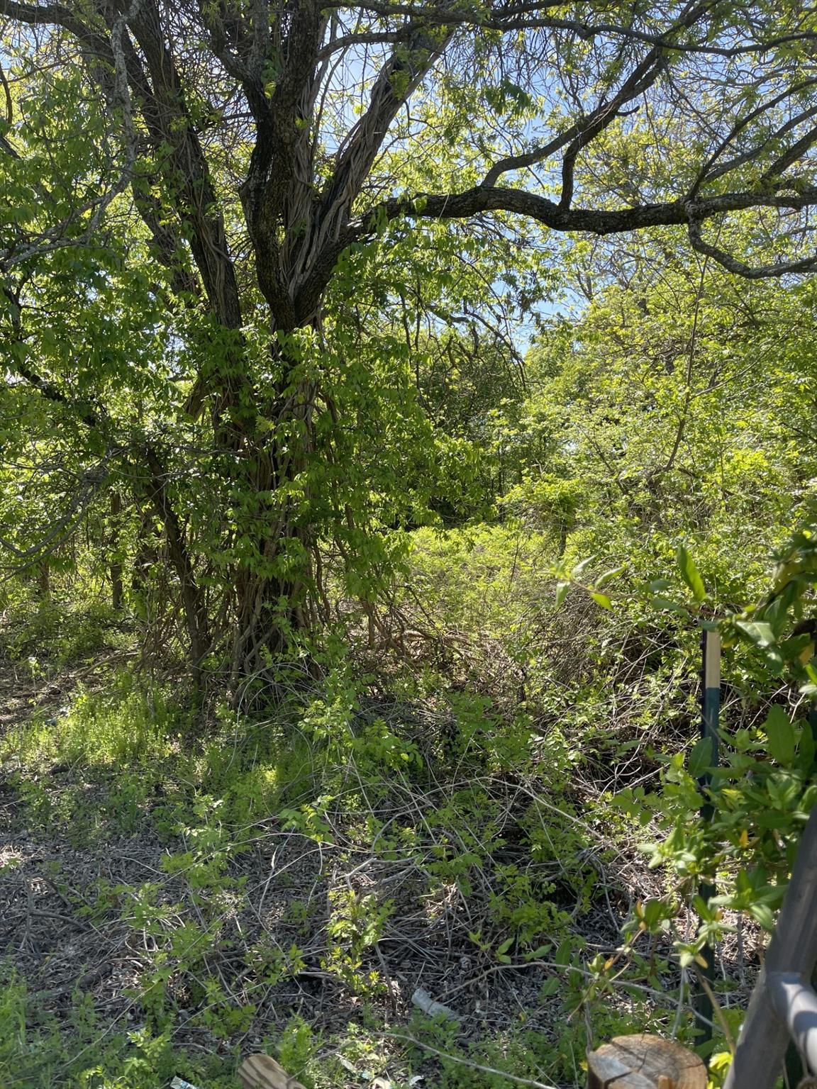 main property photo 7