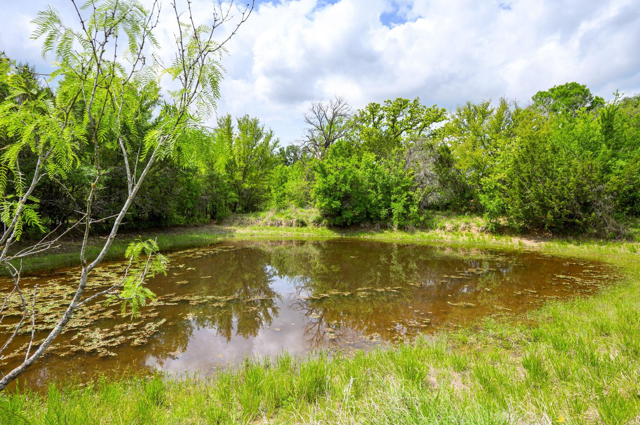 main property photo 12