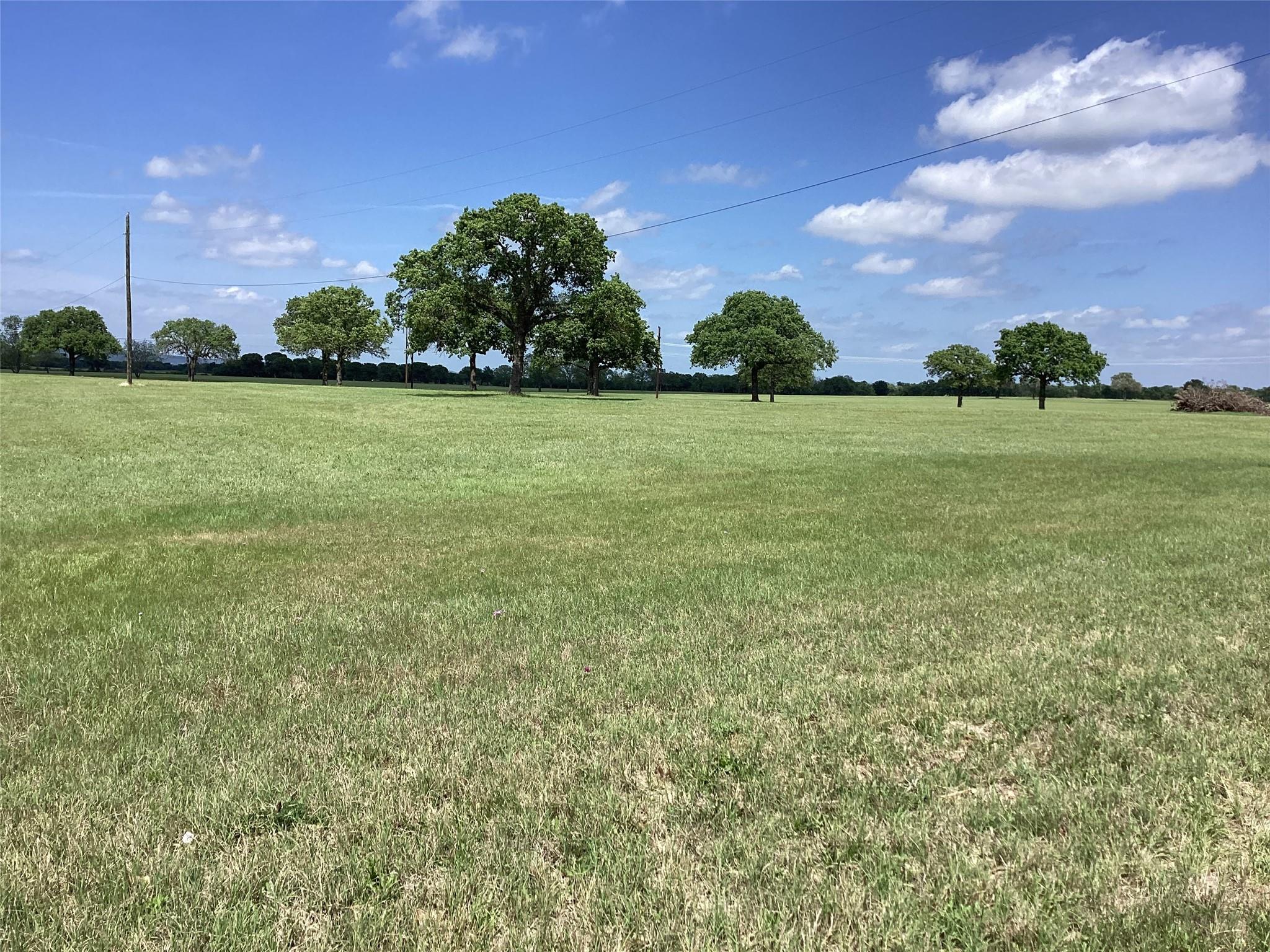 main property photo 11