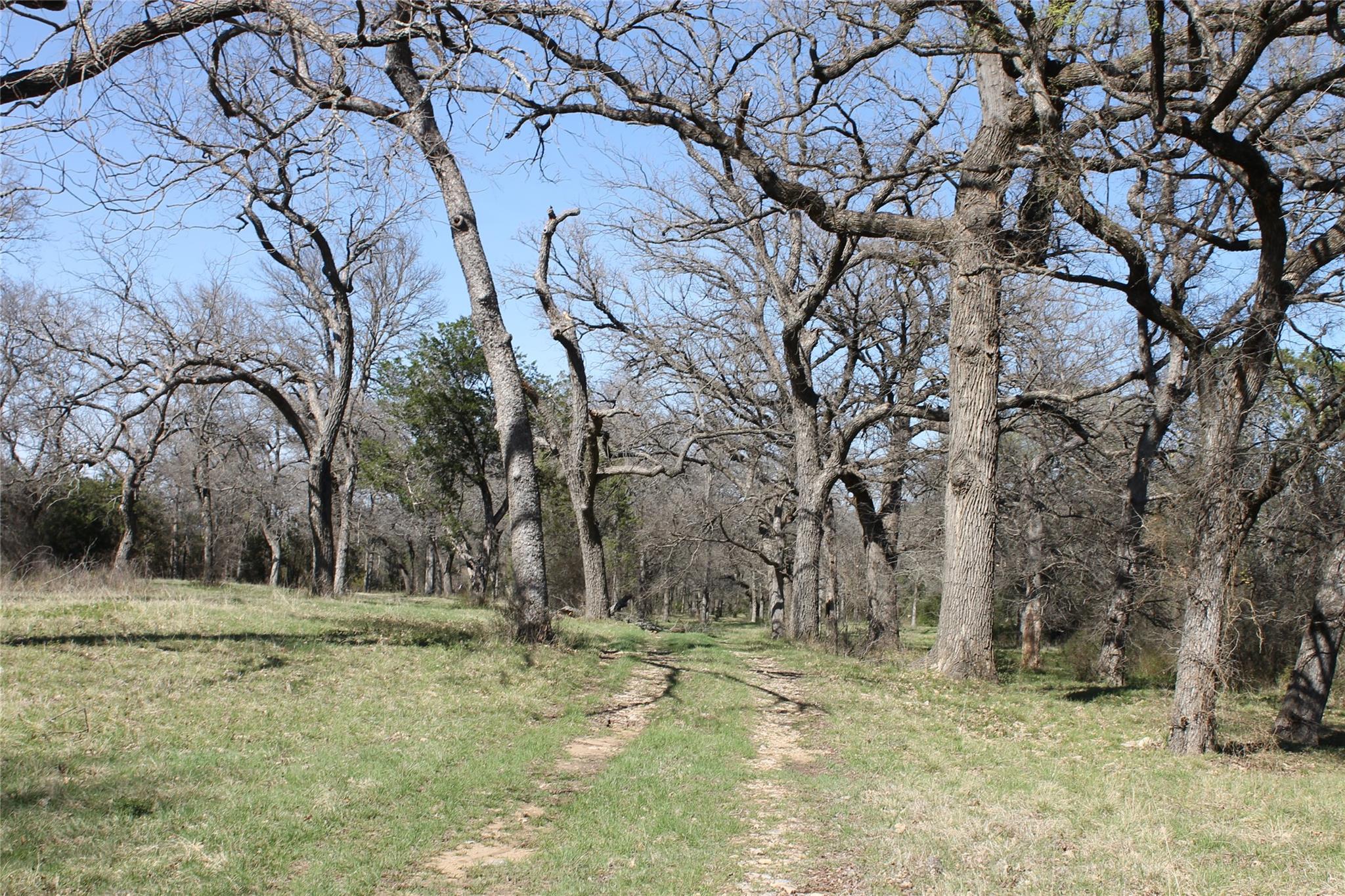 main property photo 36