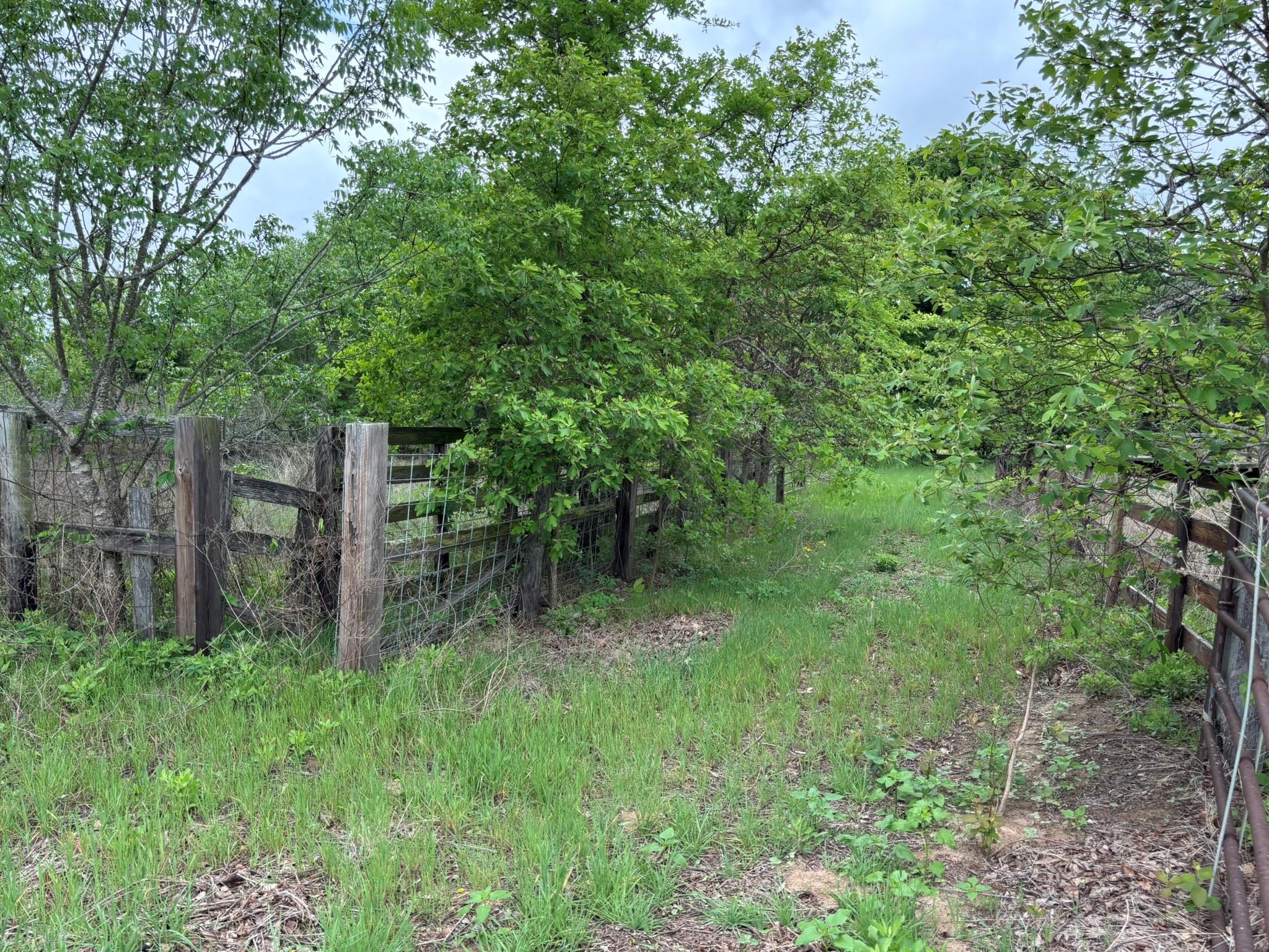 main property photo 33