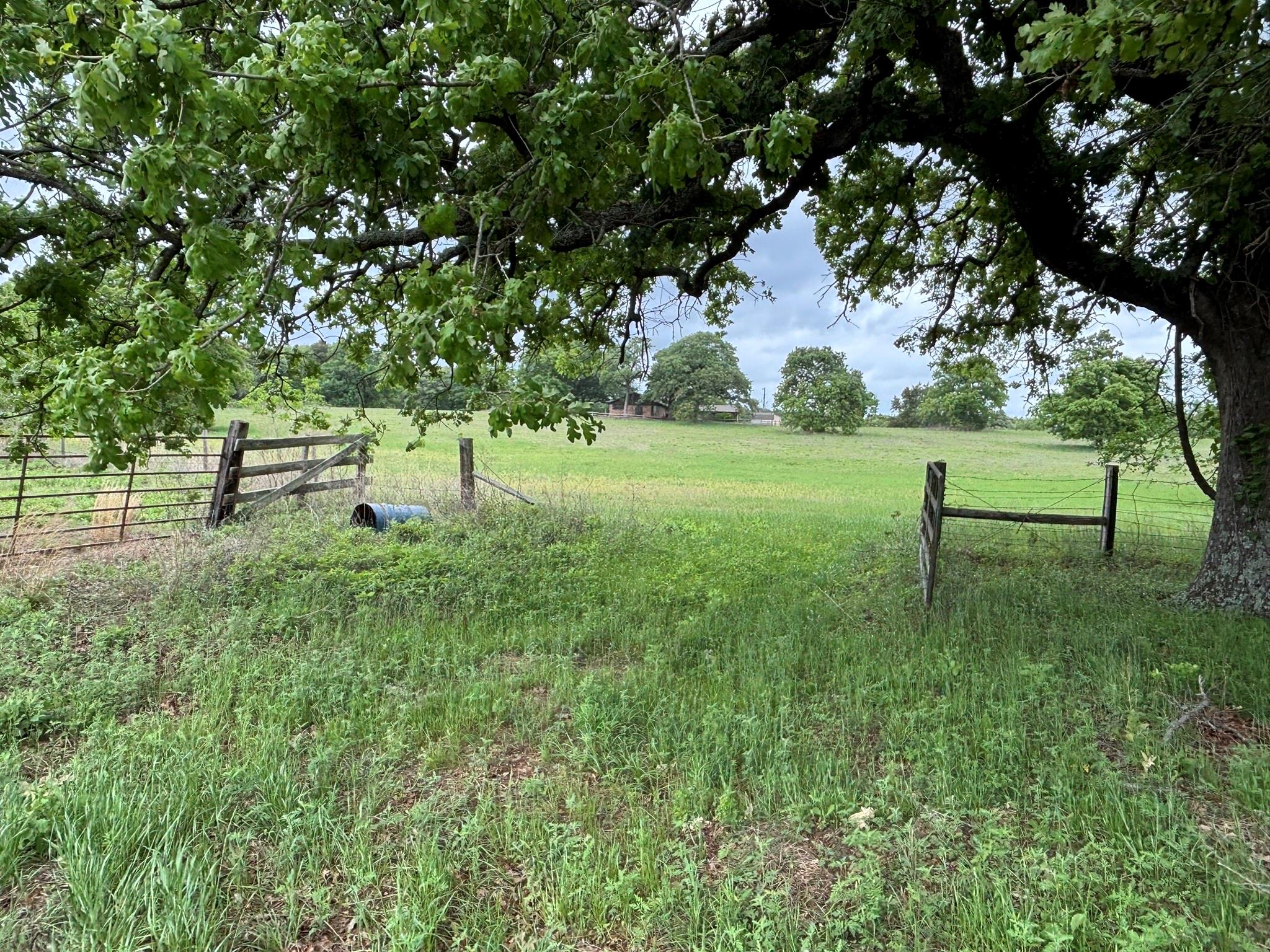 main property photo 37