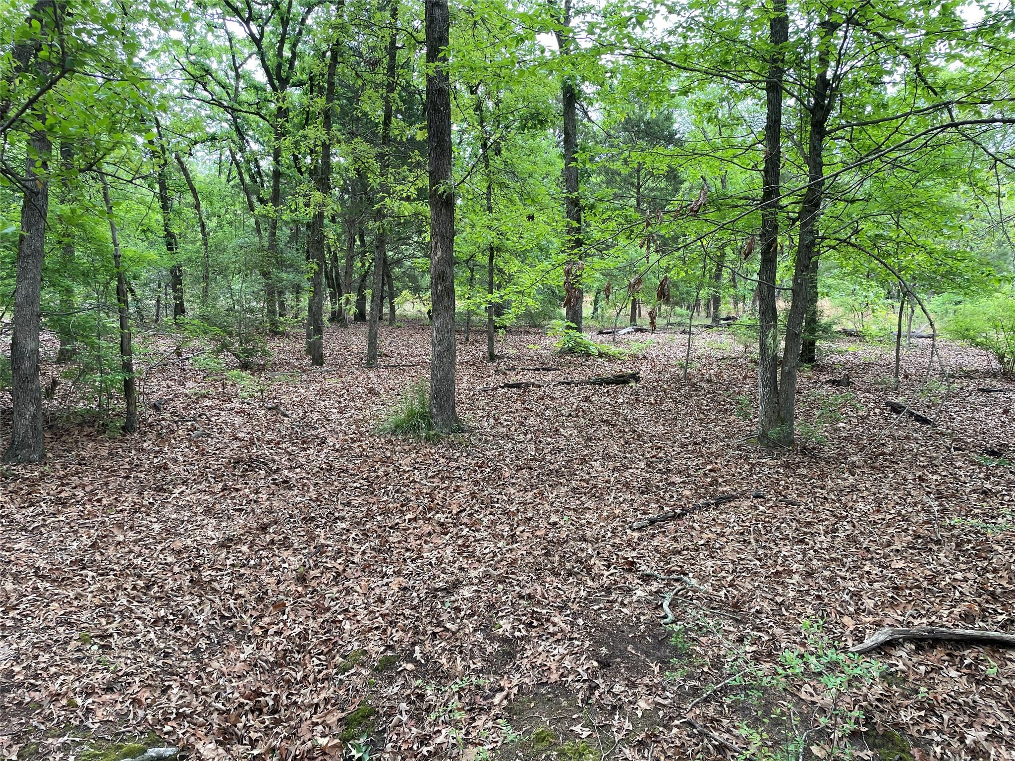 main property photo 12