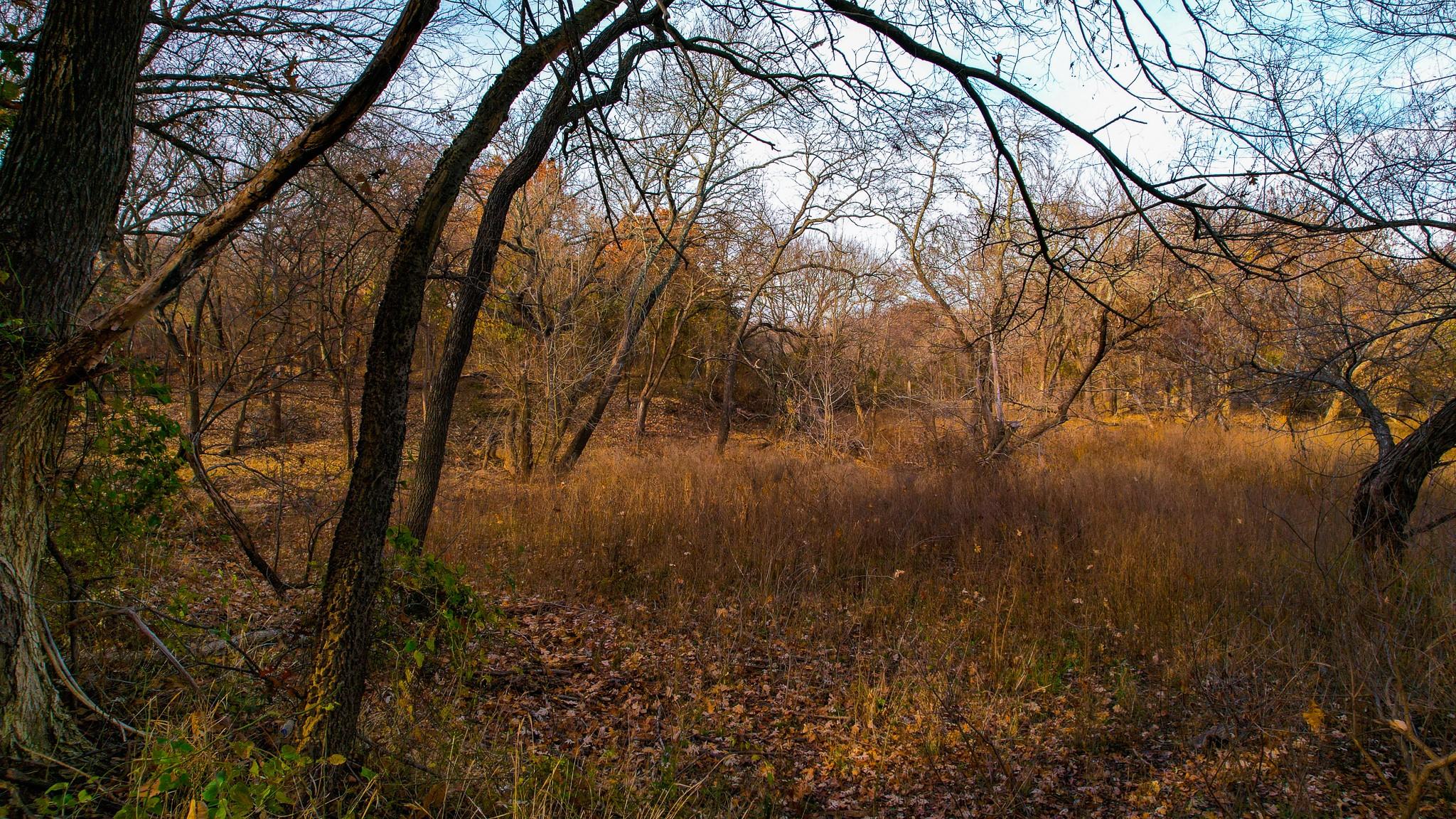 main property photo 21