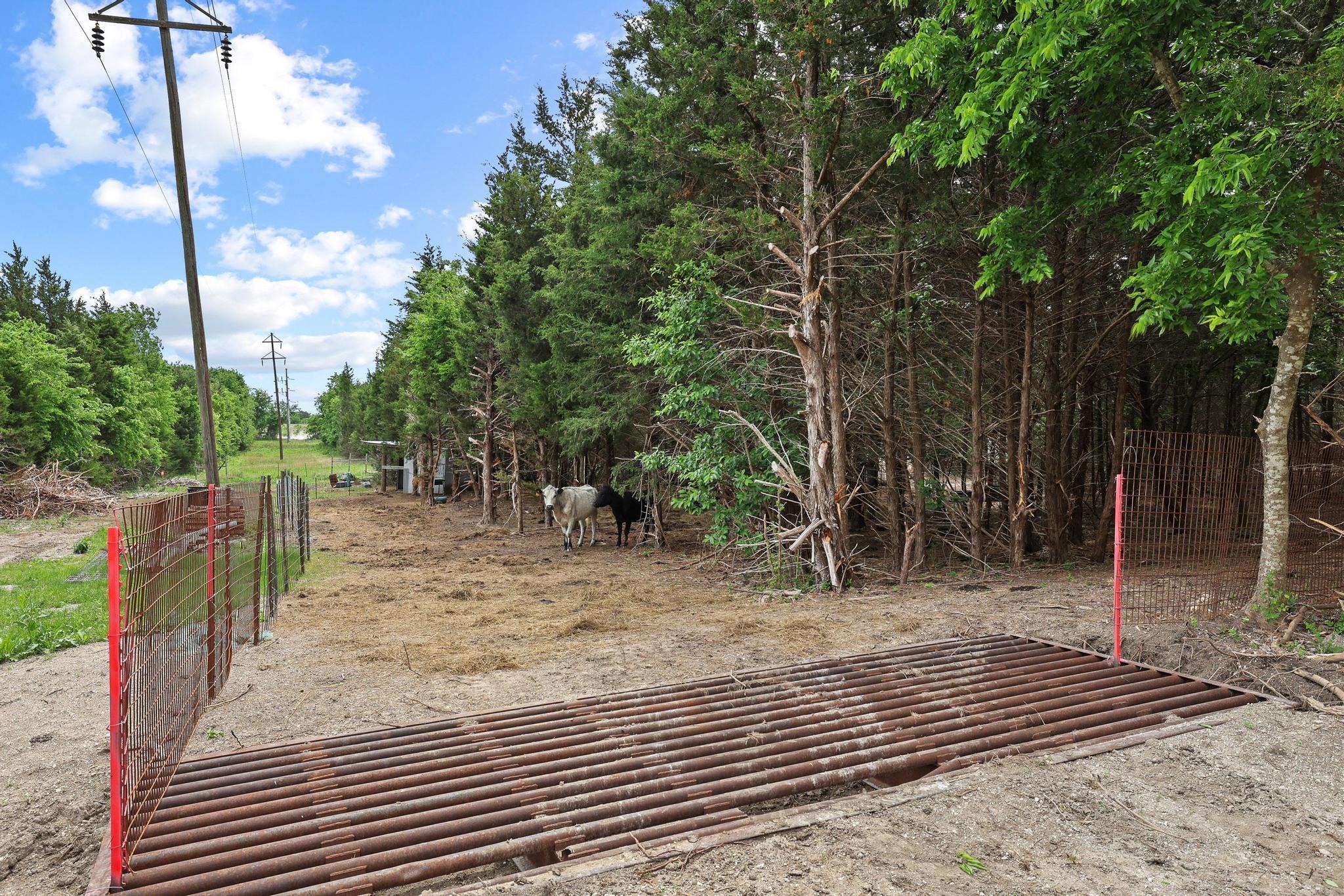 main property photo 11