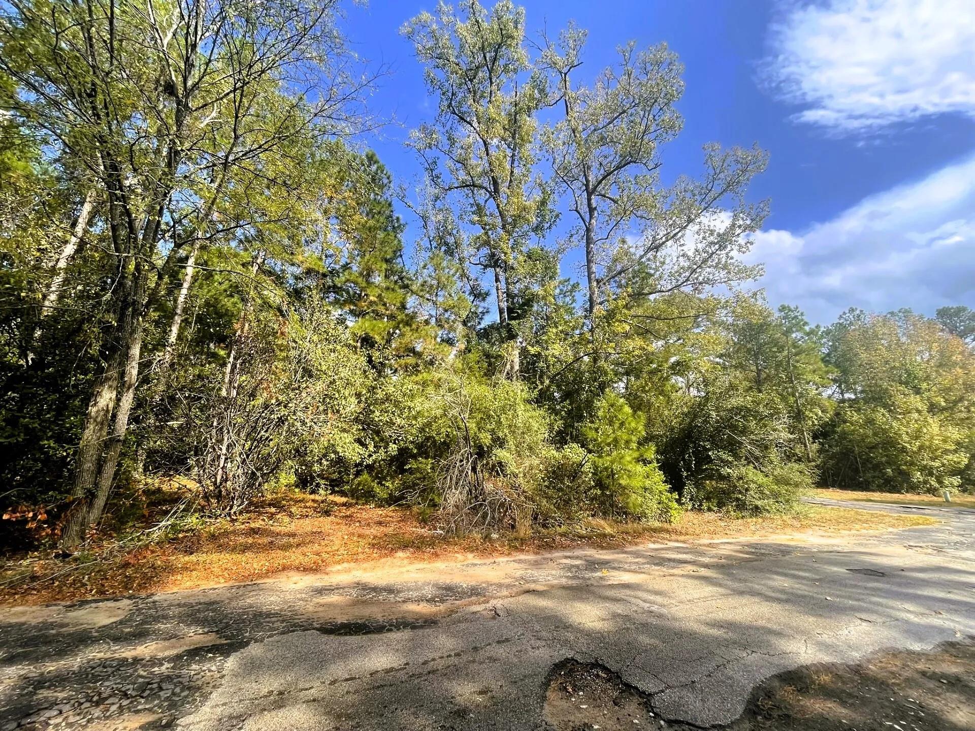 main property photo 10