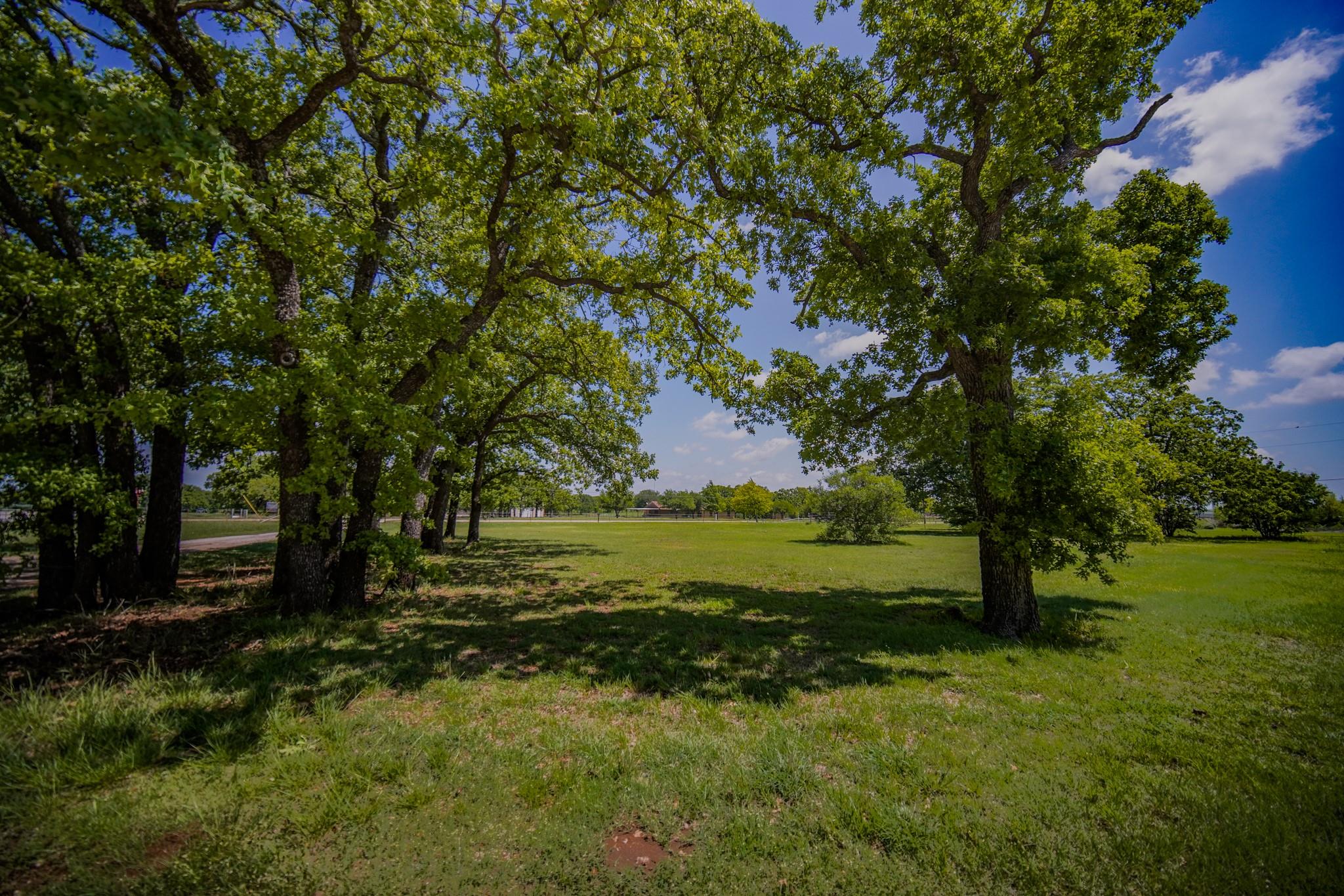 main property photo 37