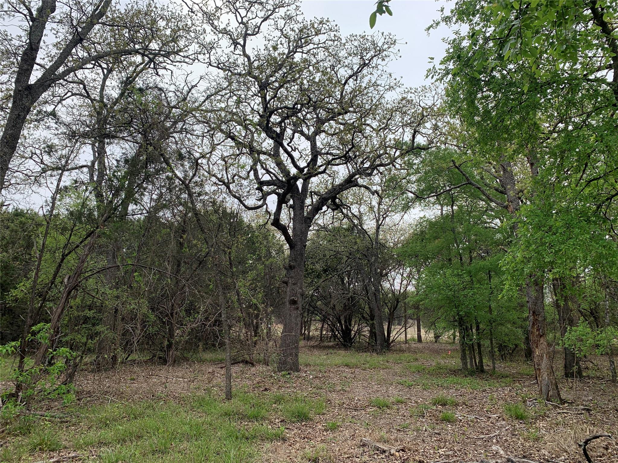 main property photo 26
