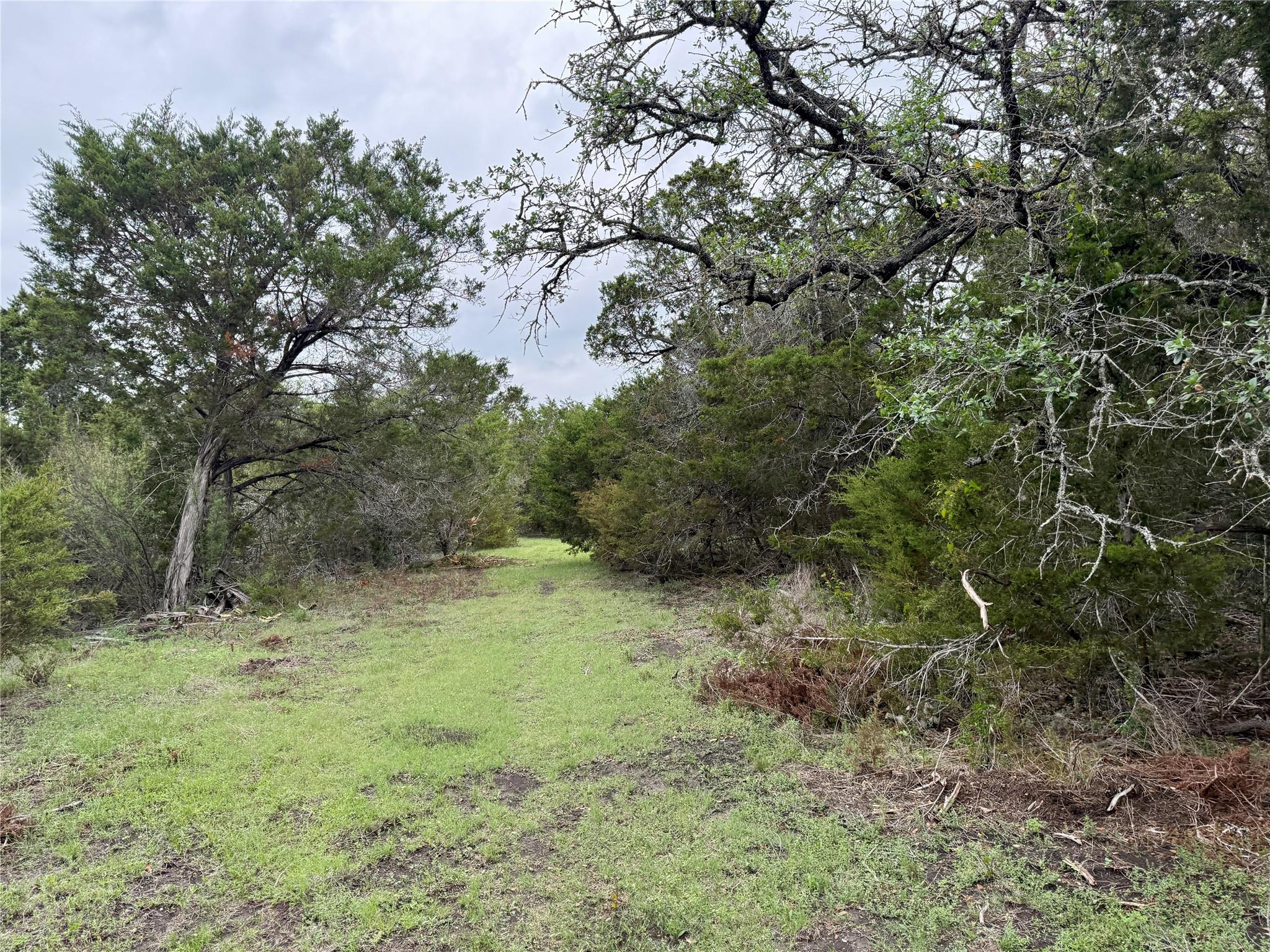 main property photo 29