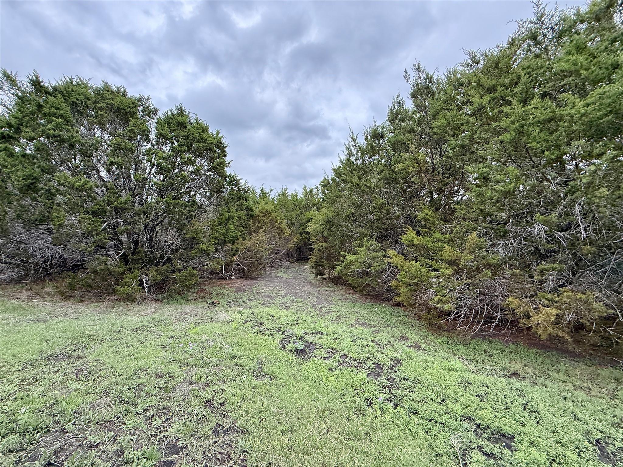main property photo 33