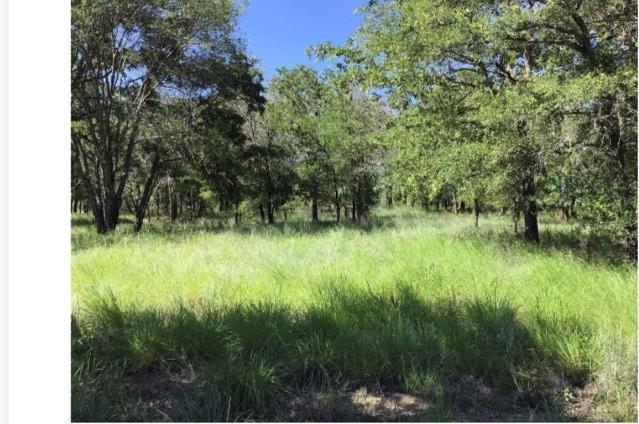 main property photo 10