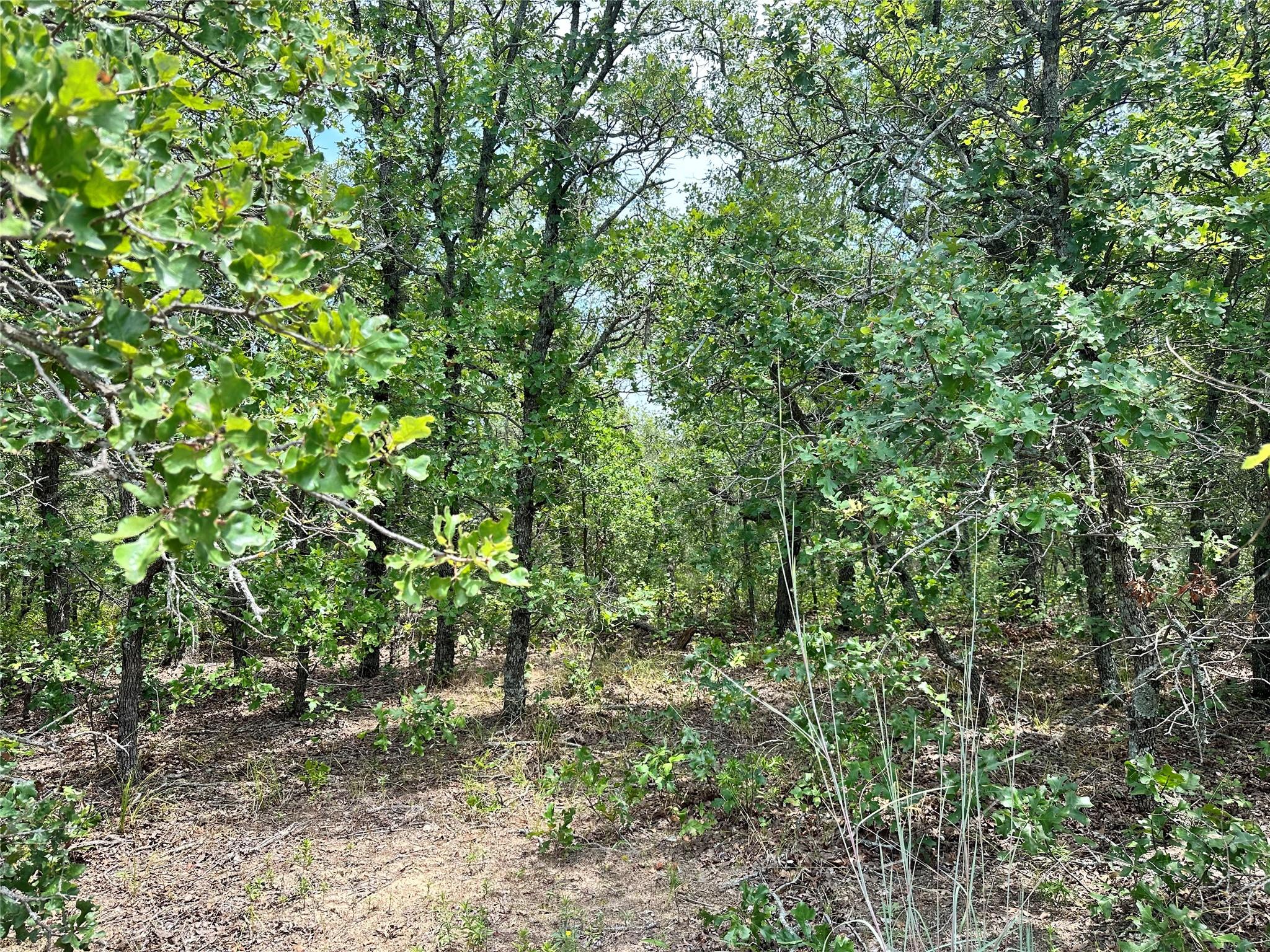 main property photo 20