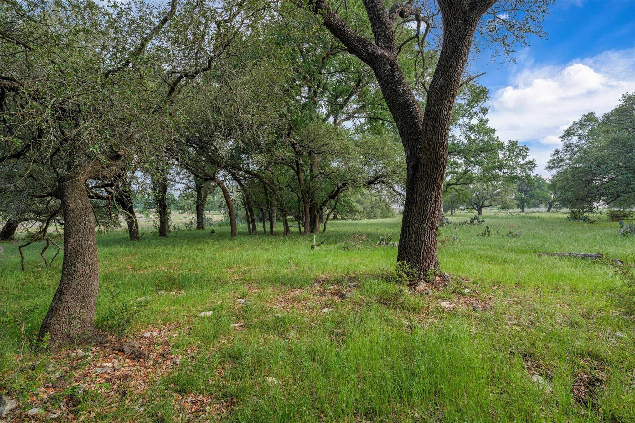 main property photo 10