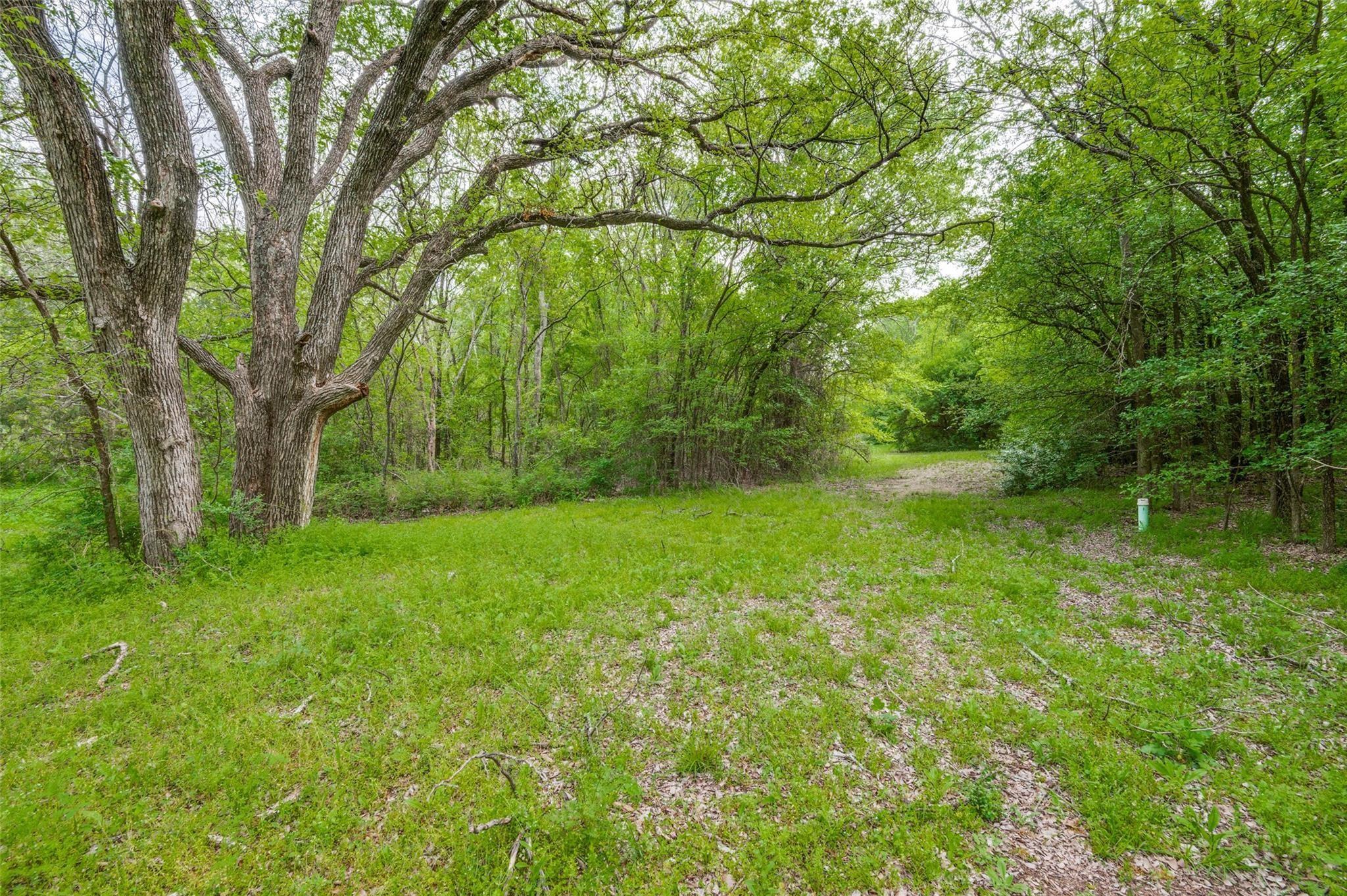 main property photo 8