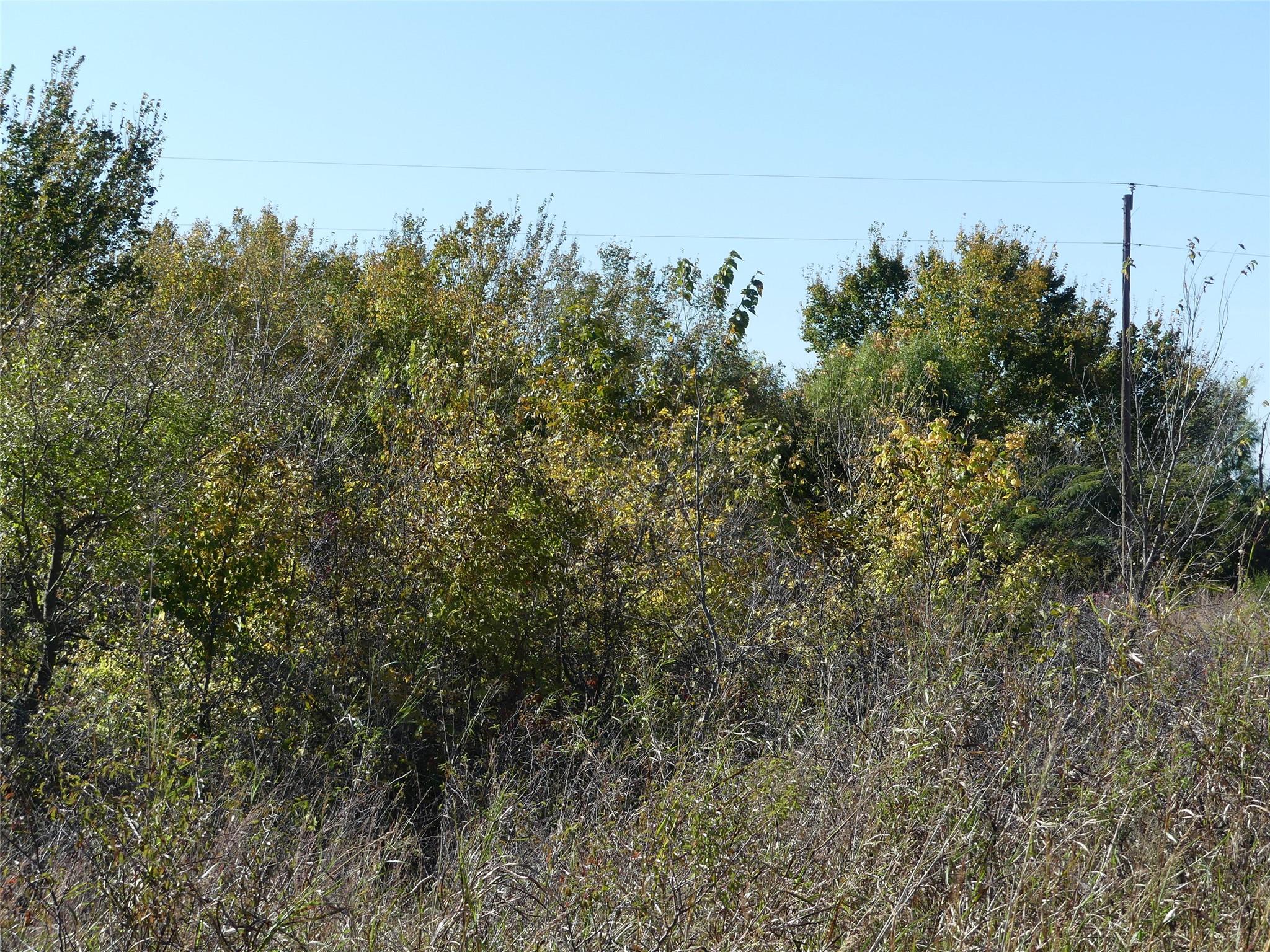 main property photo 11