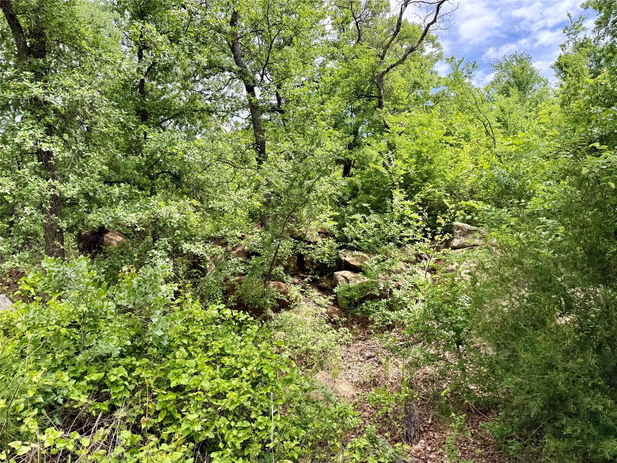 main property photo 10