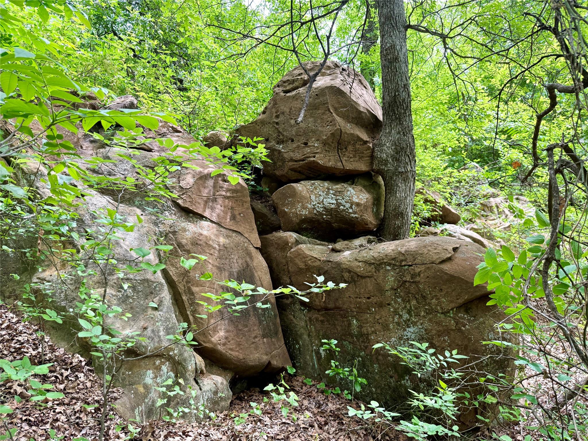 main property photo 11