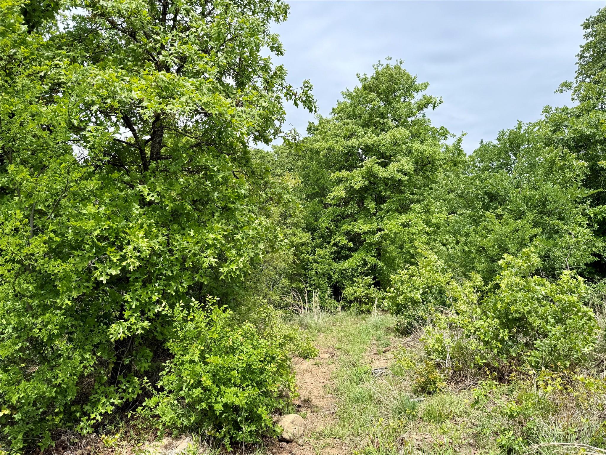 main property photo 9
