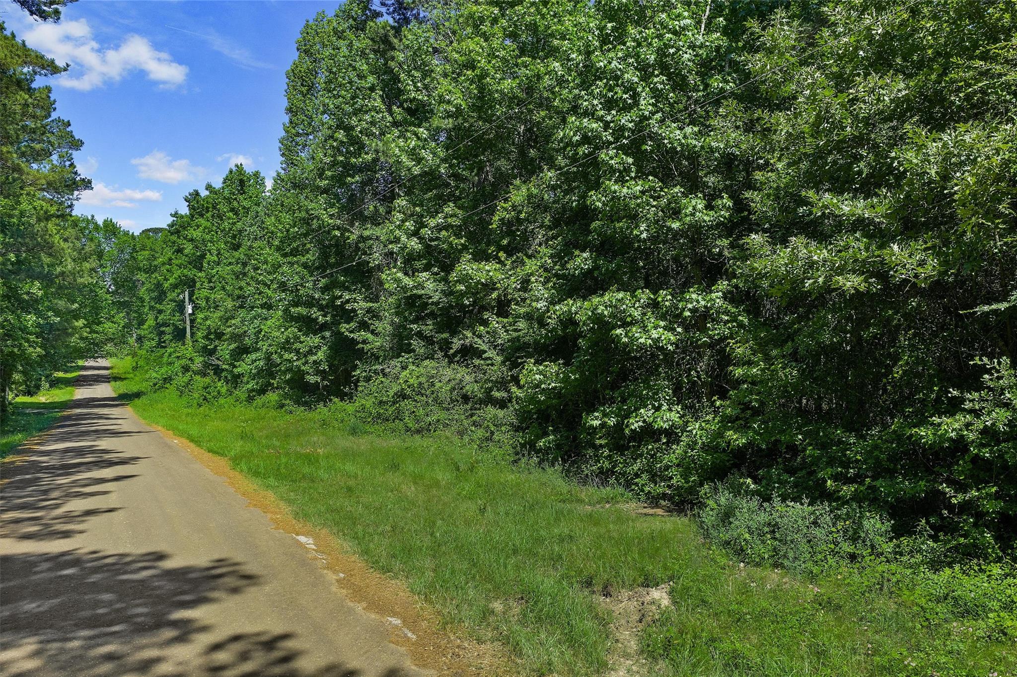 main property photo 33