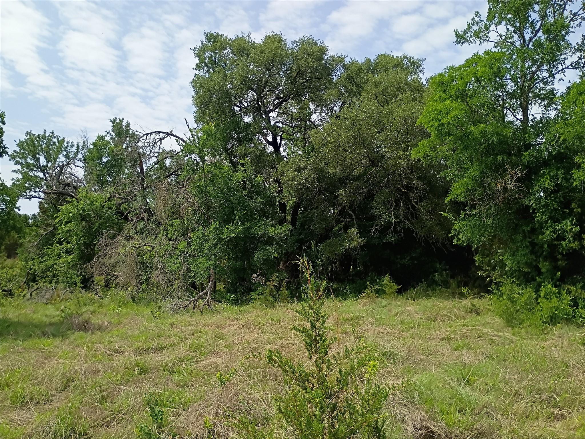 main property photo 13