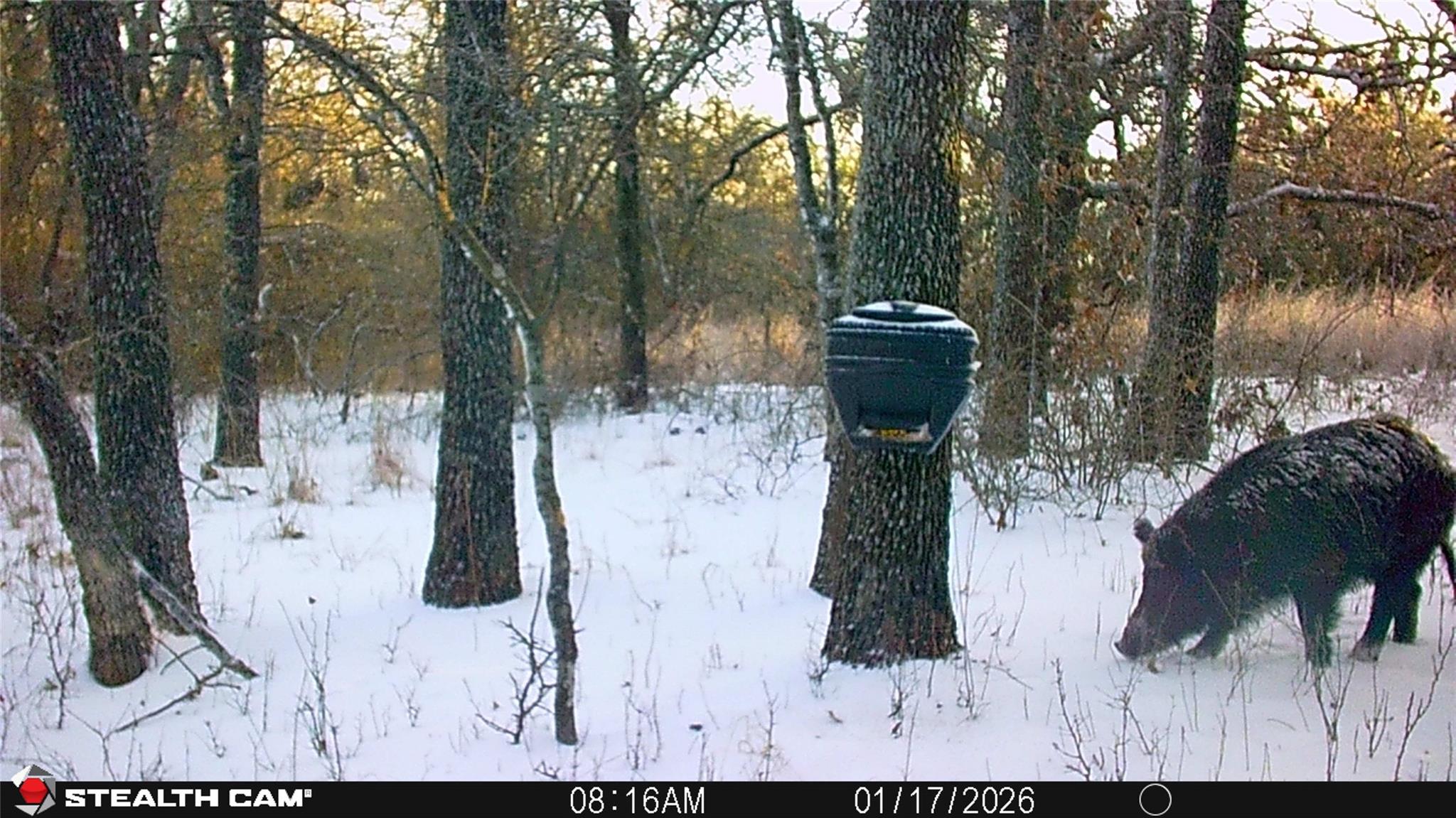 main property photo 14