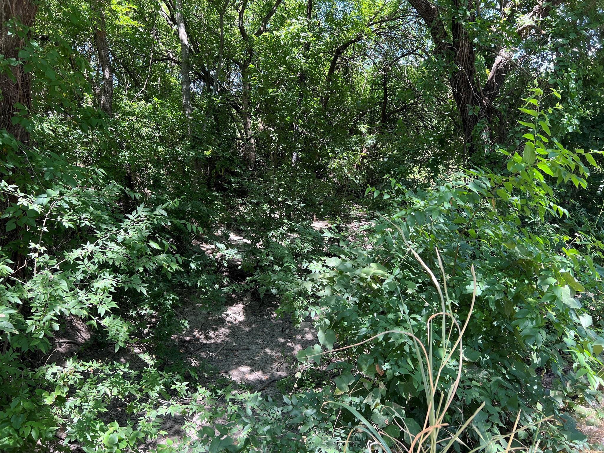 main property photo 7