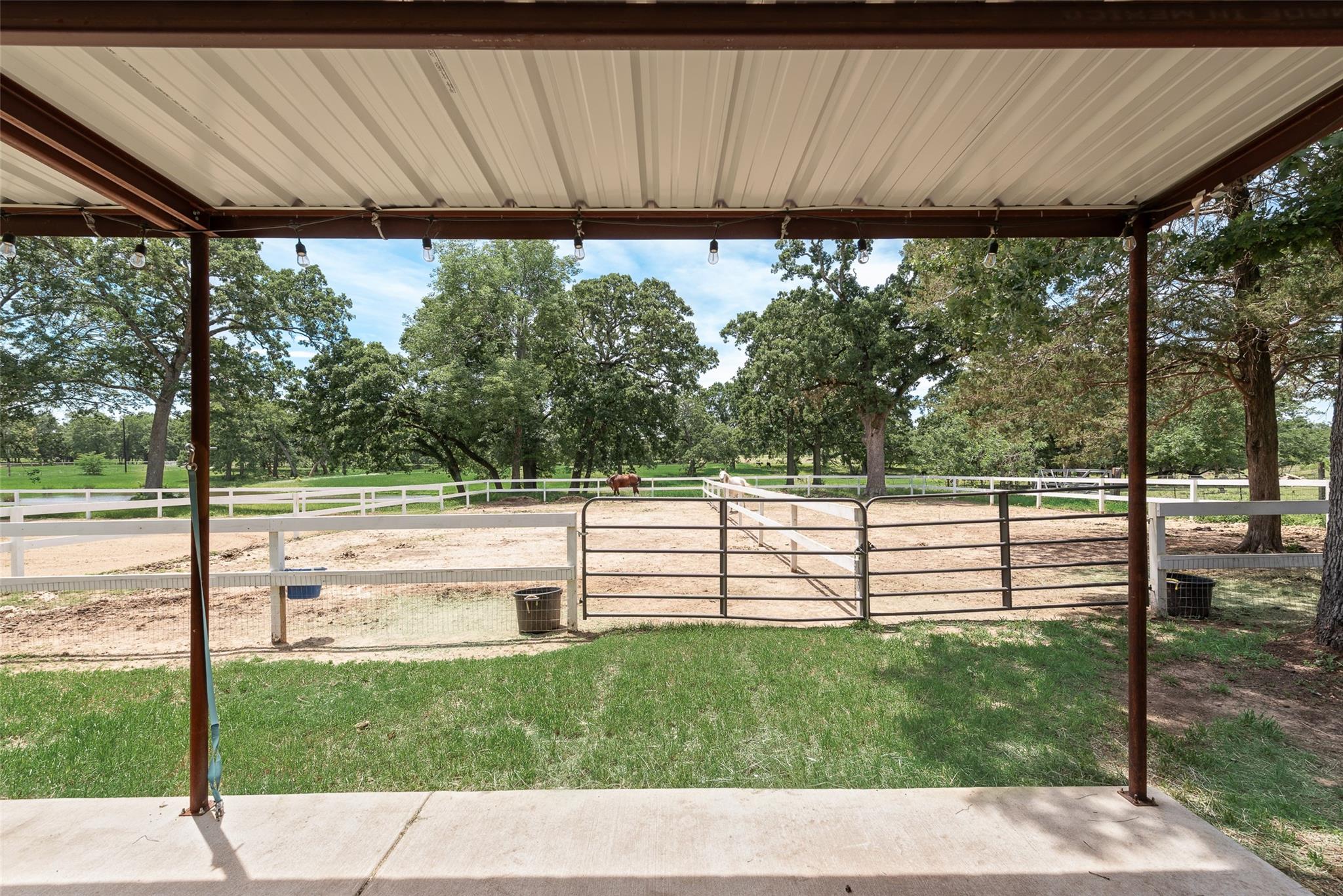 main property photo 36