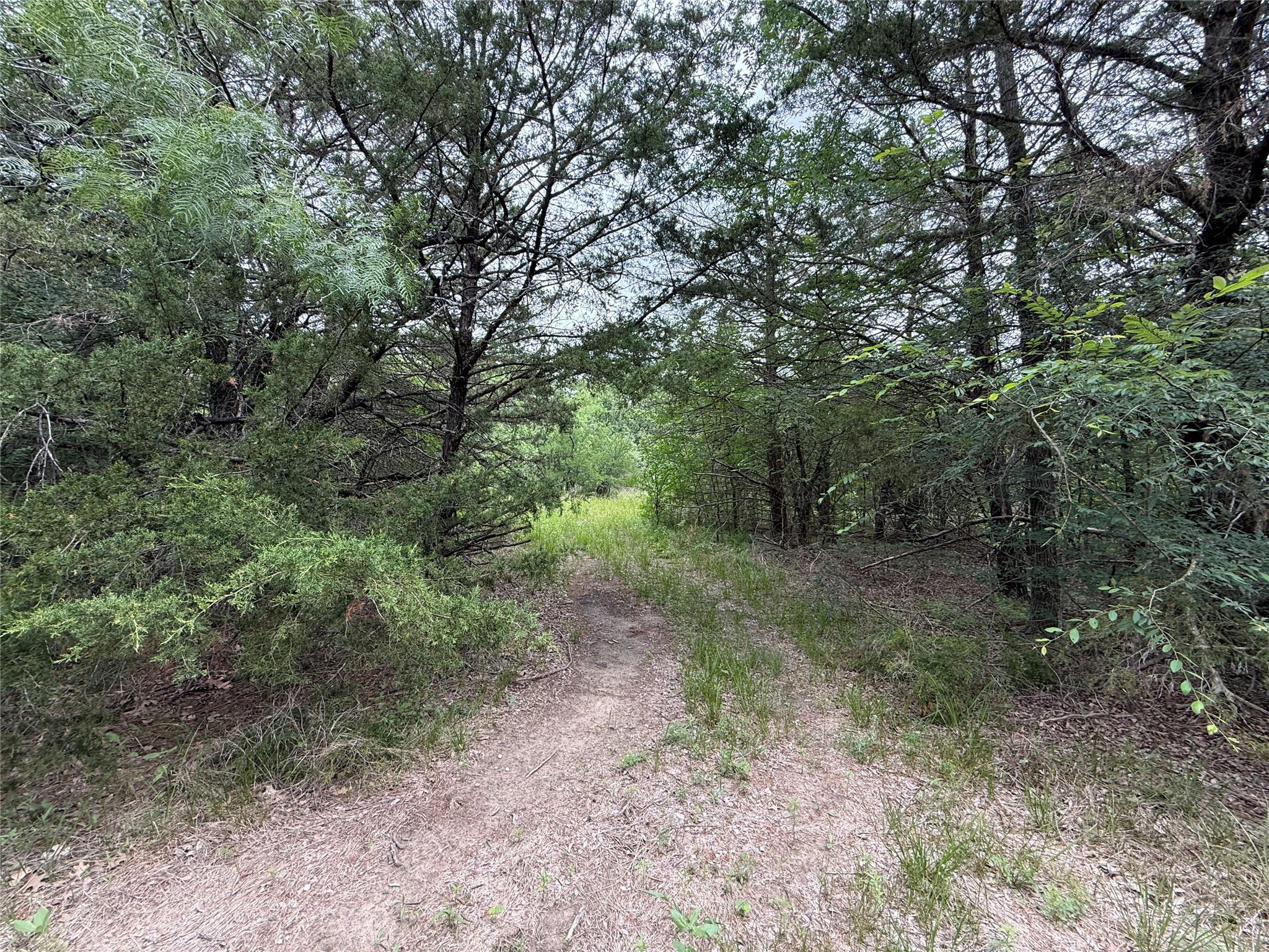 main property photo 19