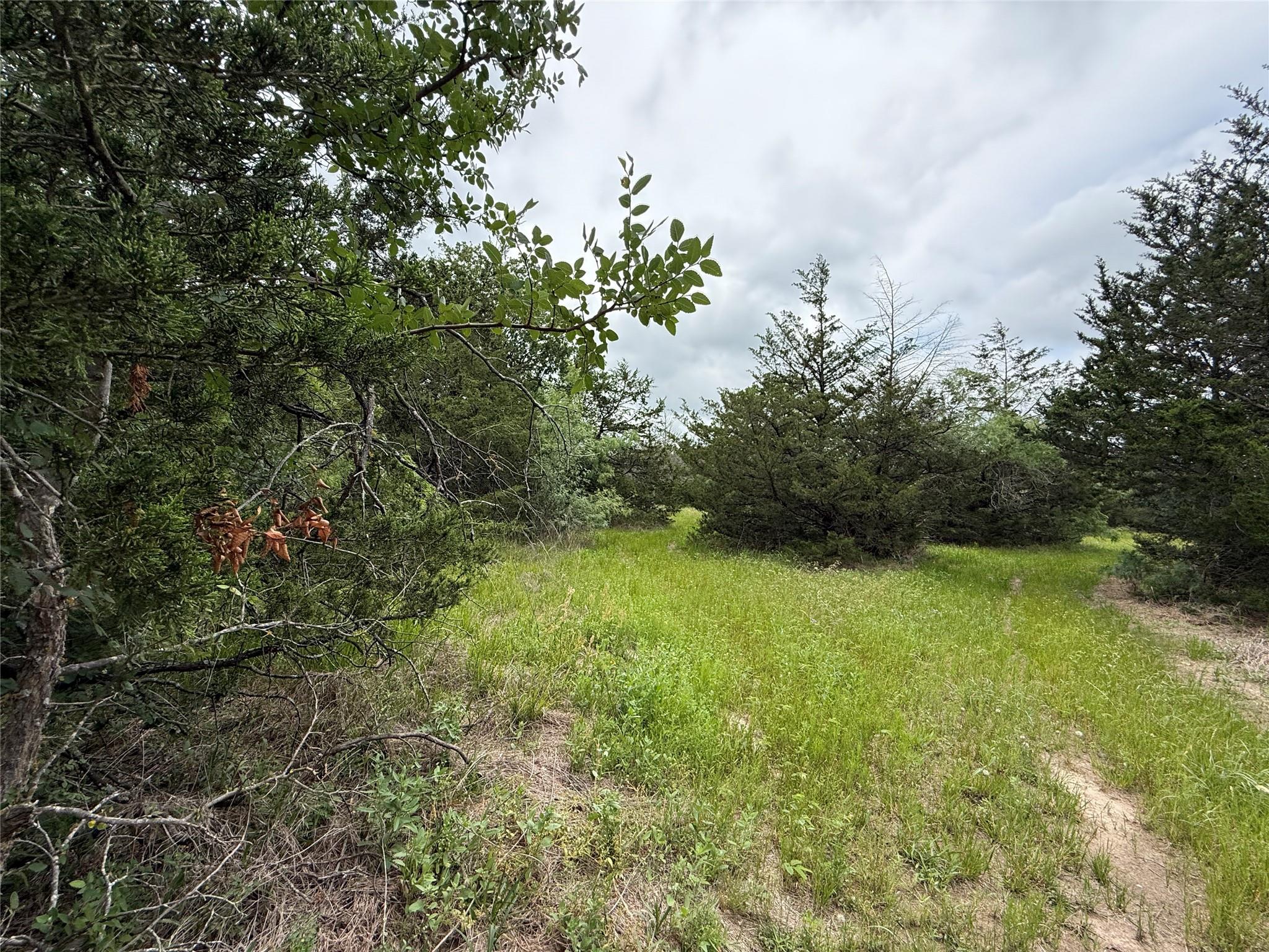 main property photo 33