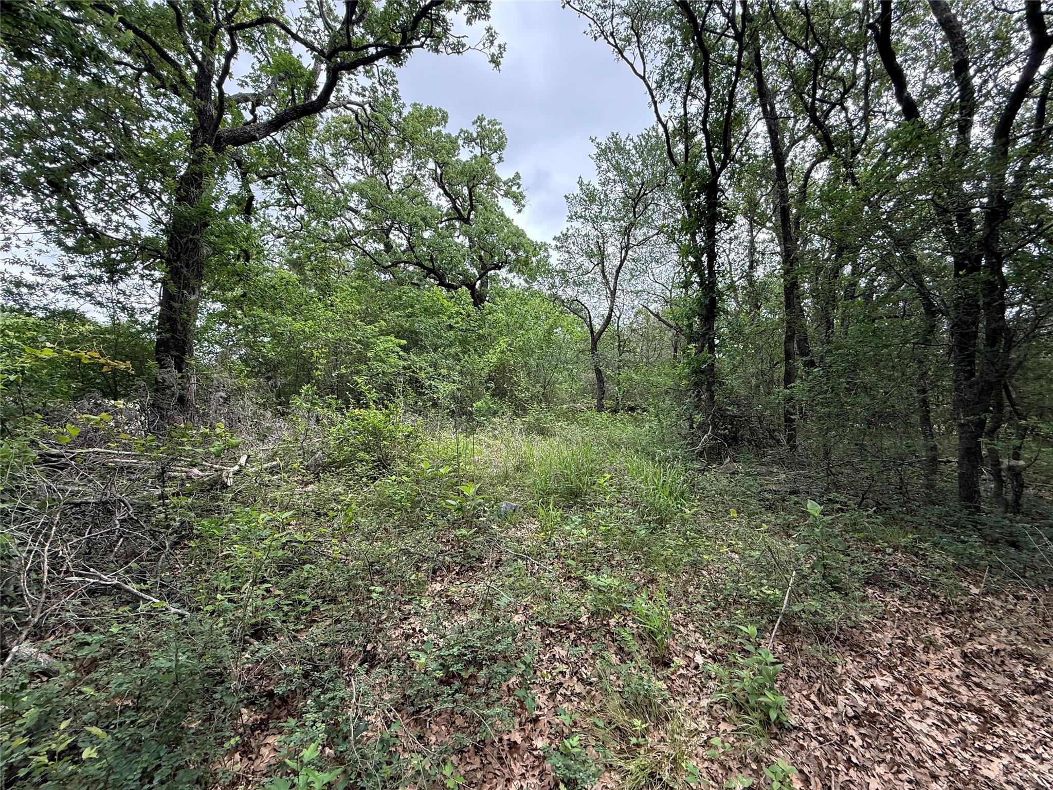main property photo 8