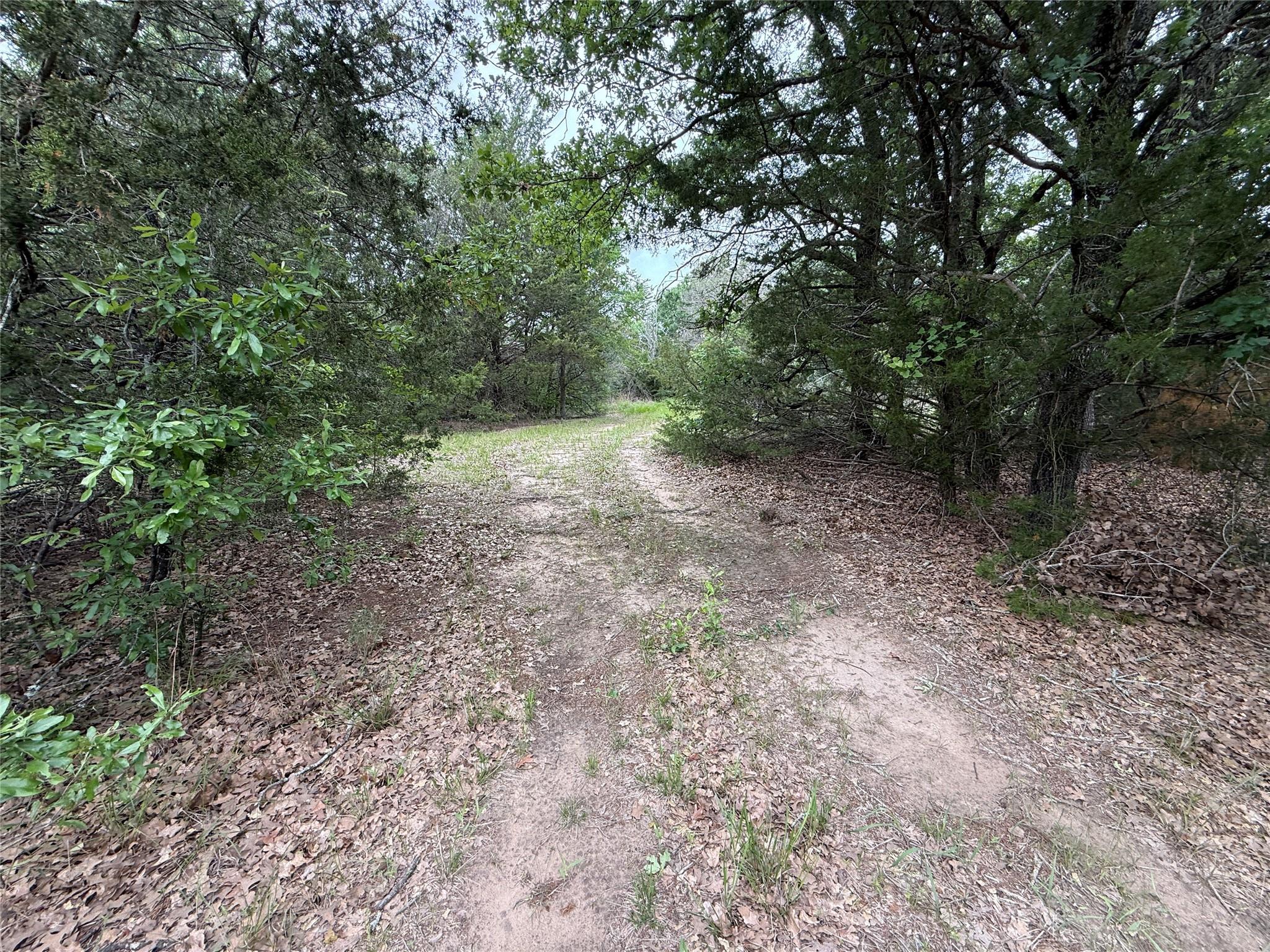main property photo 17