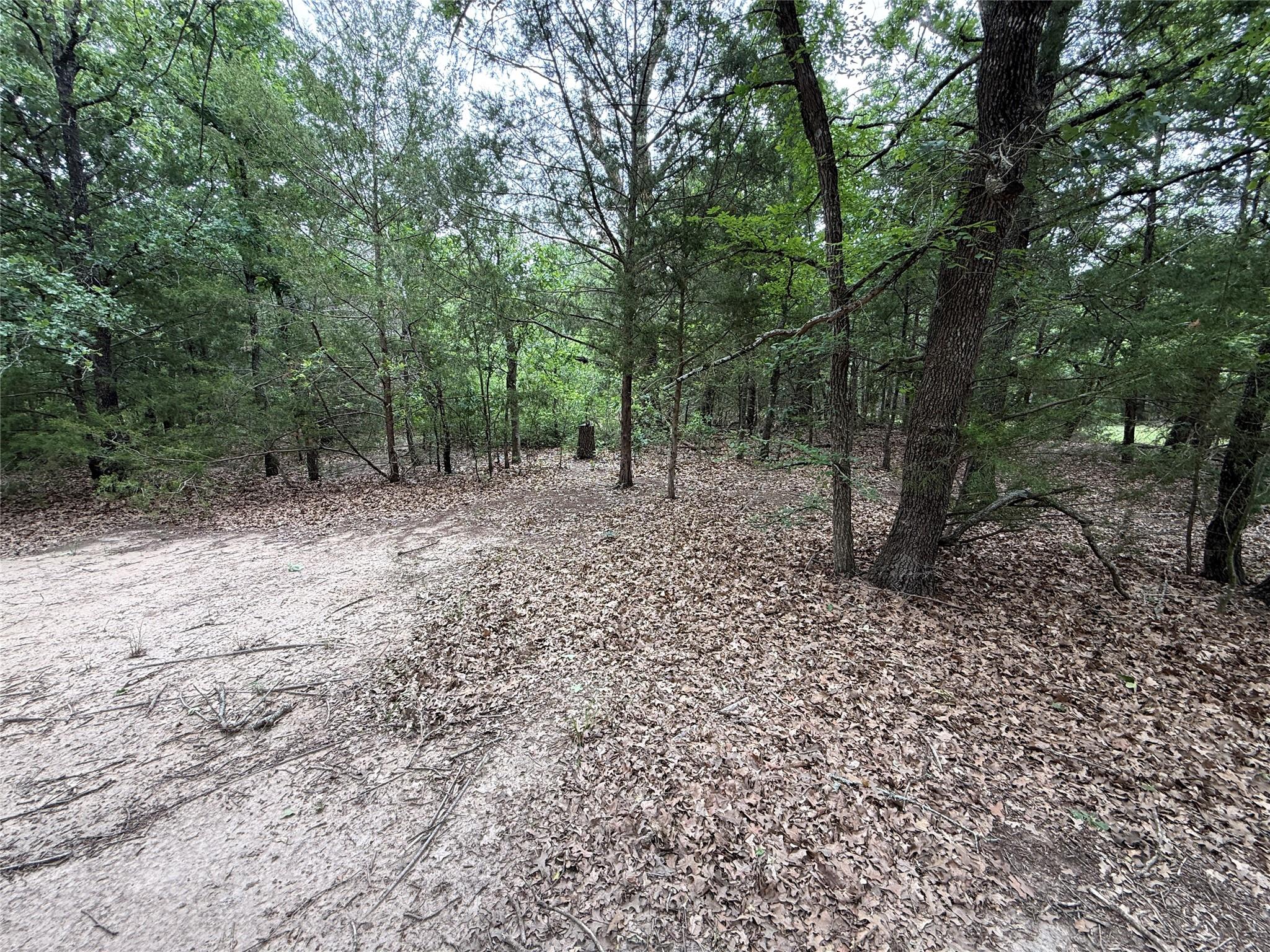 main property photo 18