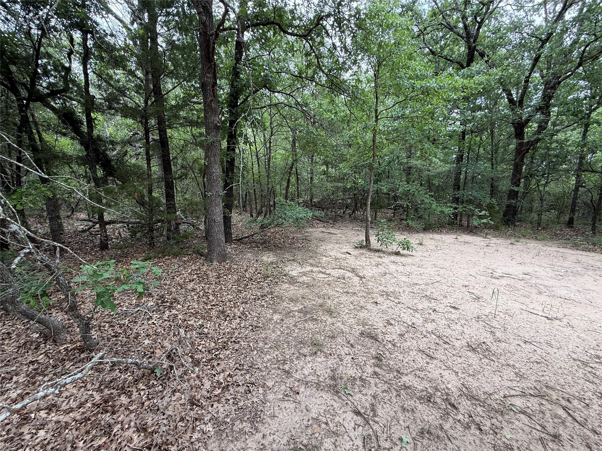 main property photo 19