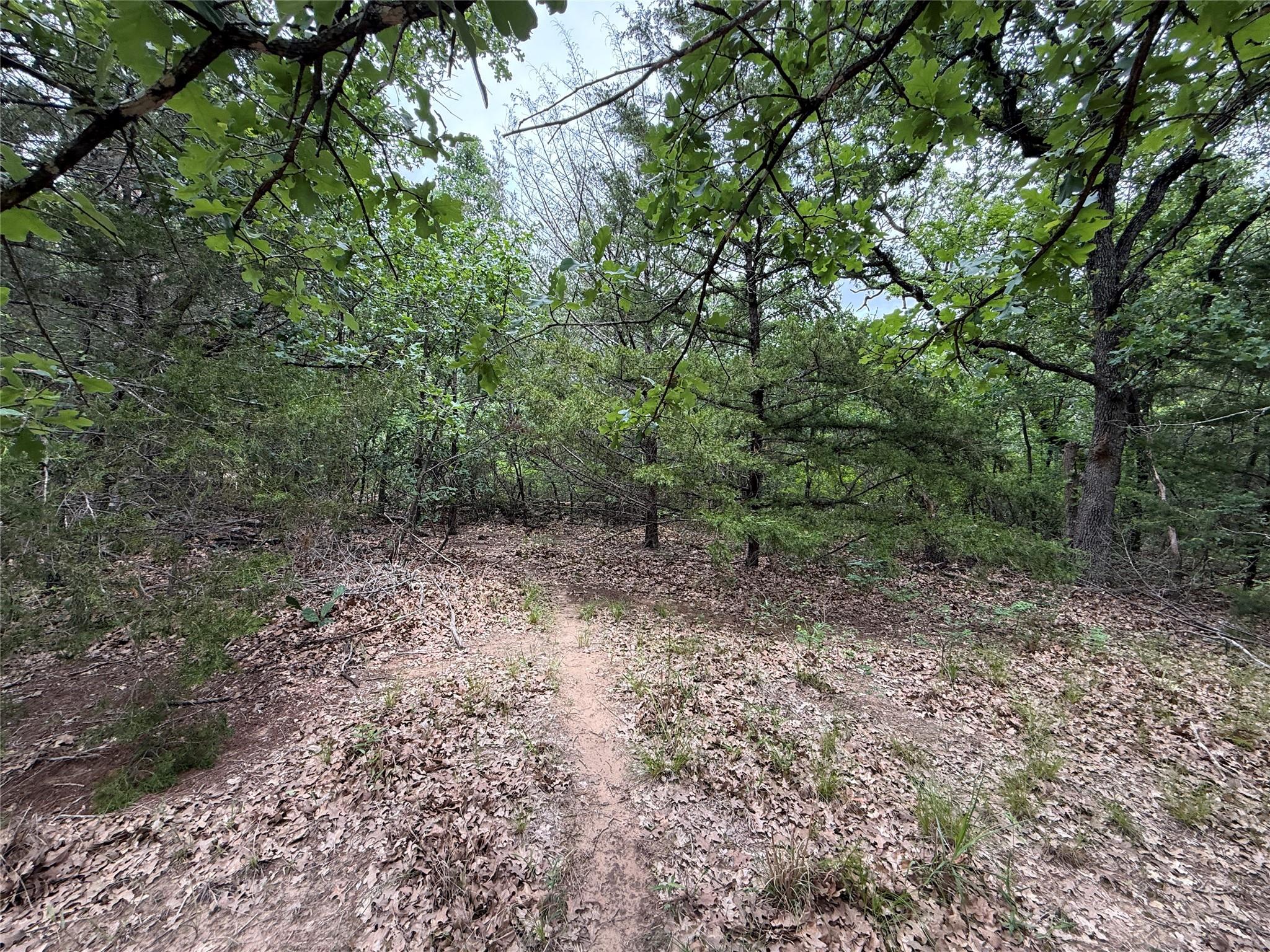 main property photo 24