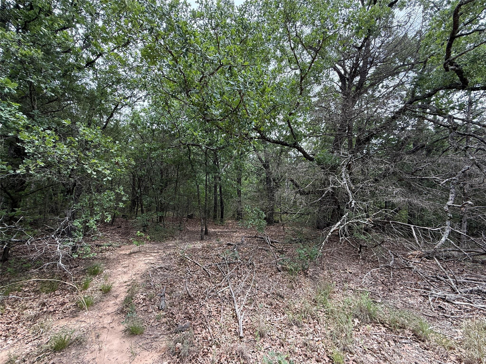 main property photo 27