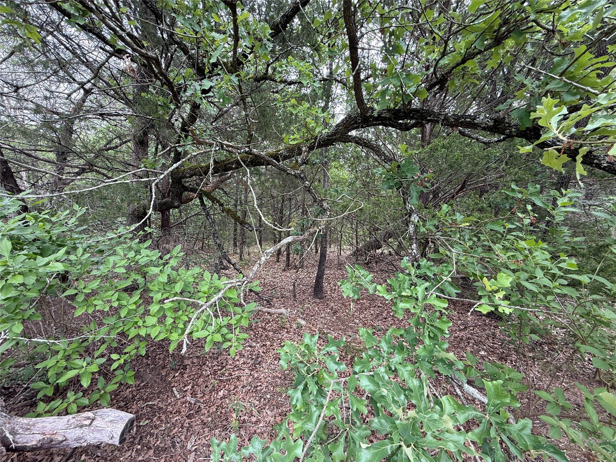 main property photo 28