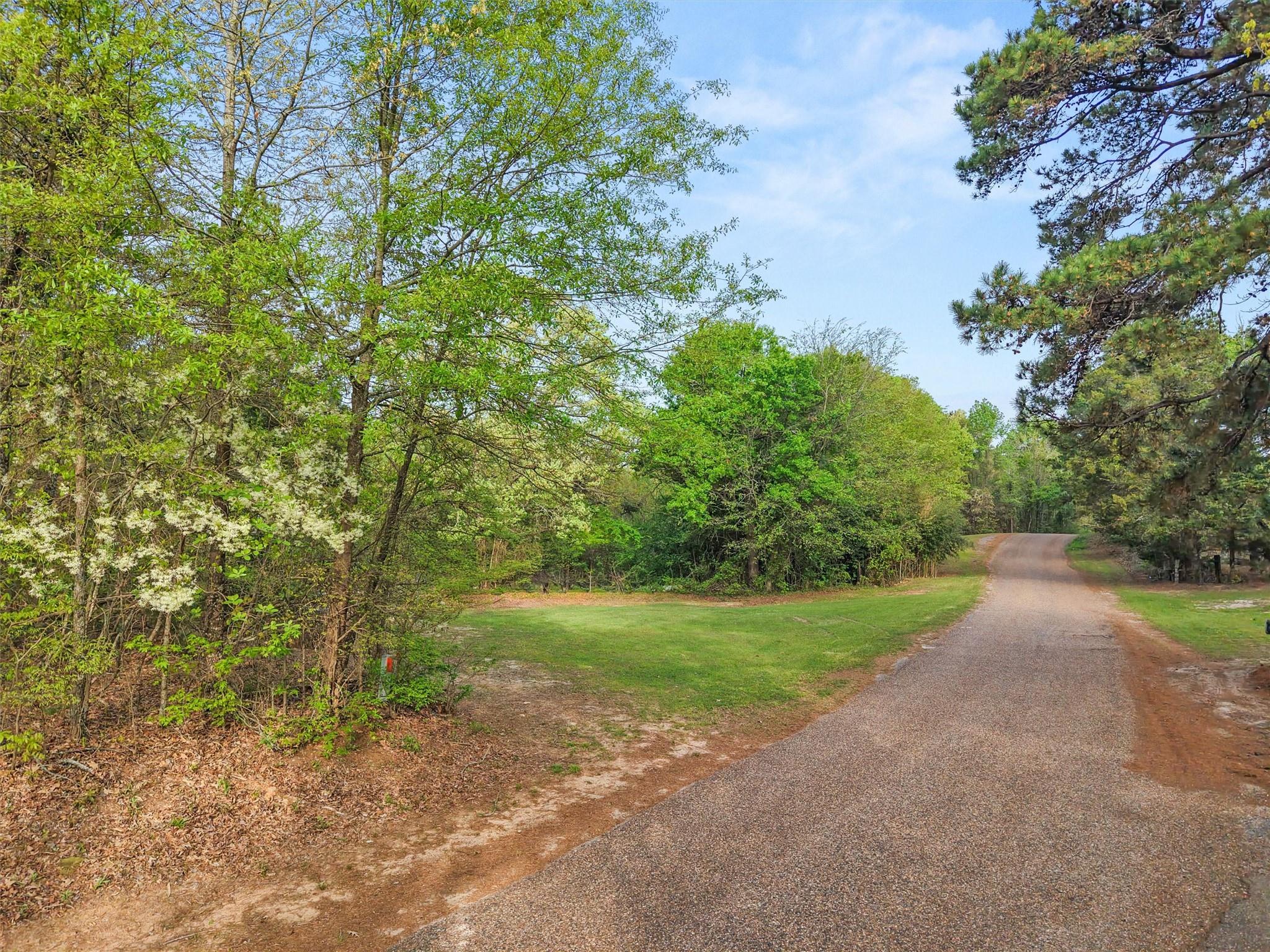 main property photo 7
