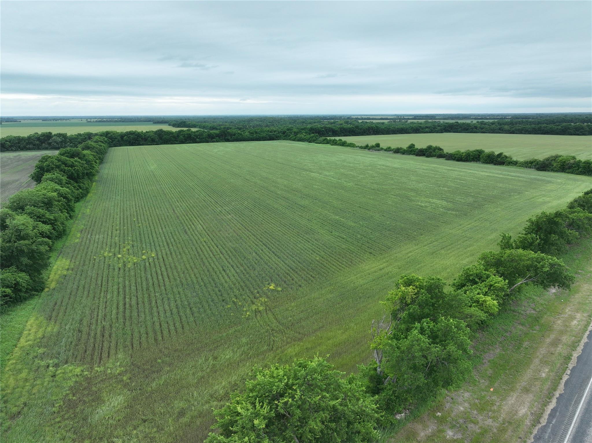 main property photo 11