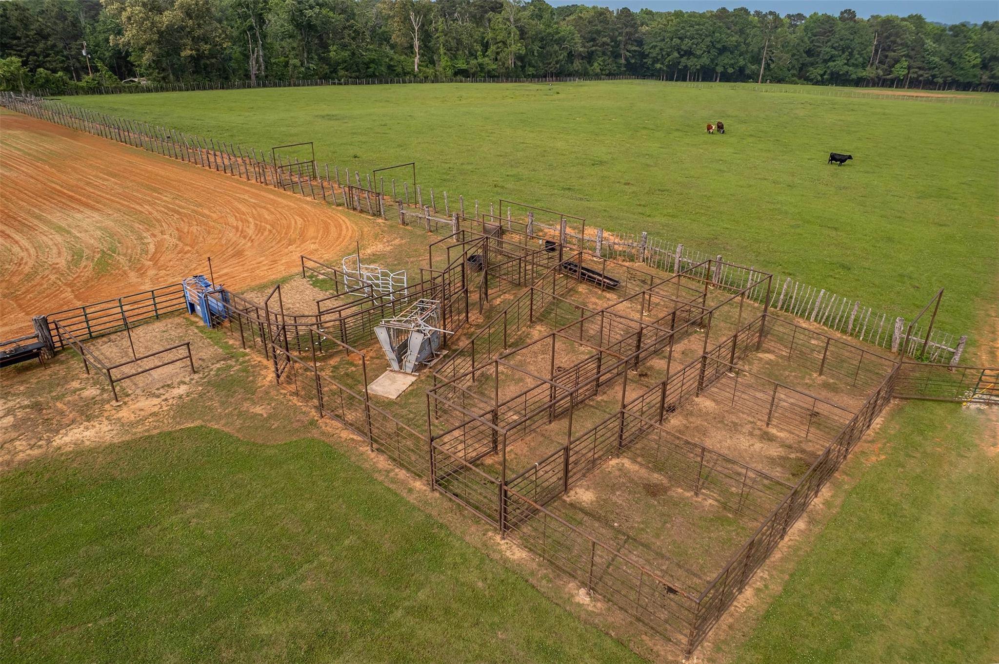 main property photo 35
