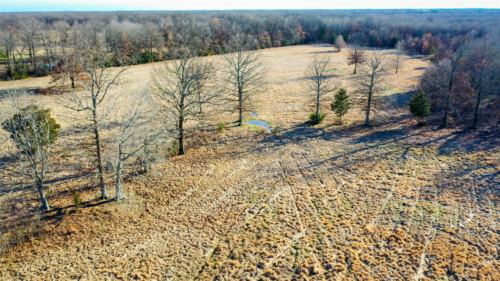 main property photo 20