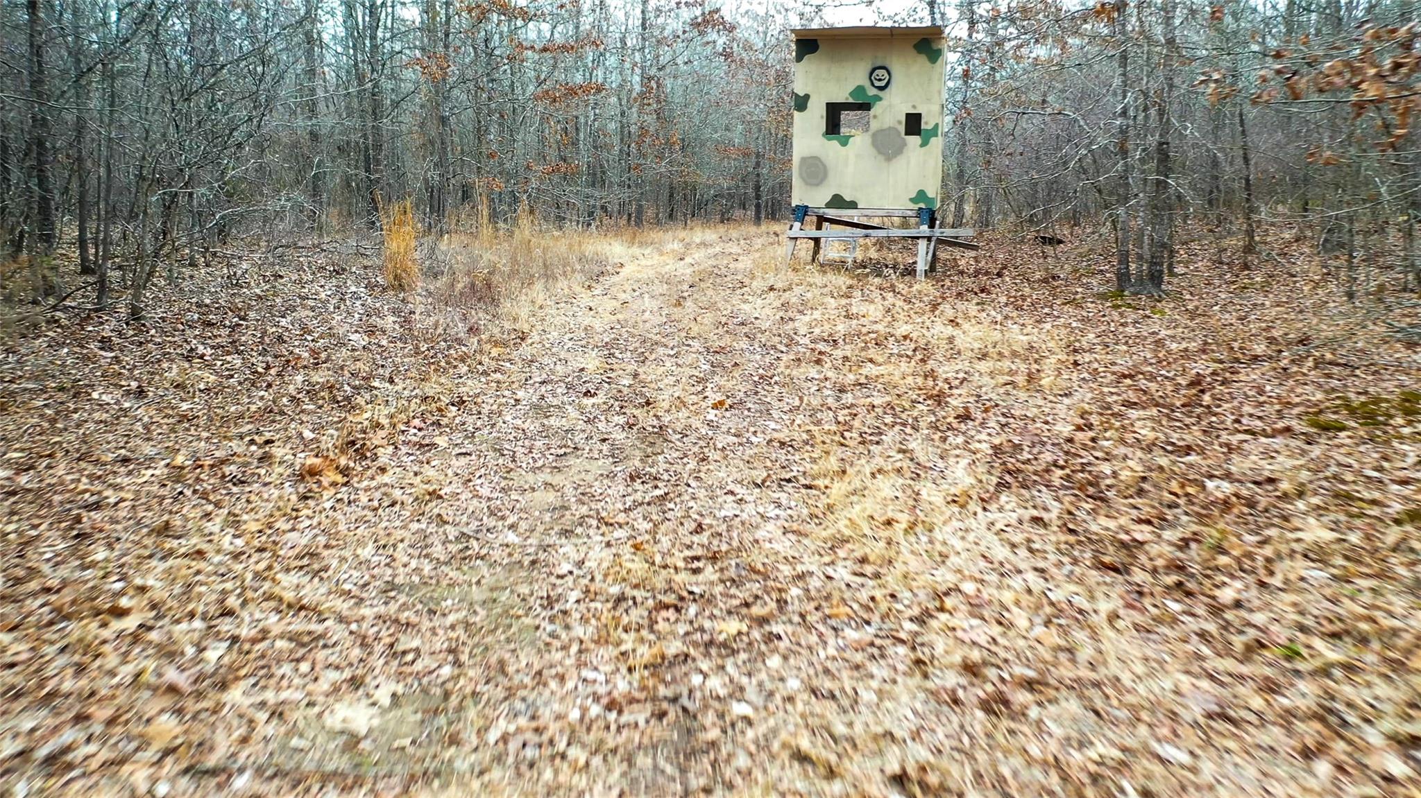 main property photo 33