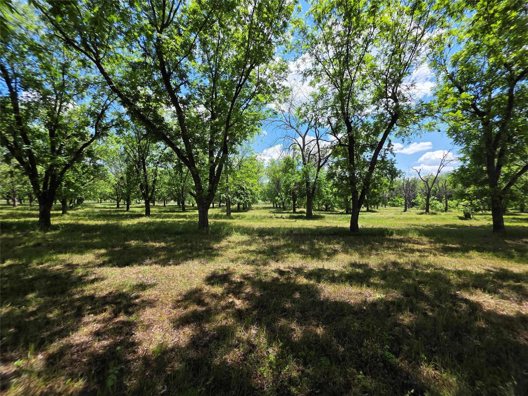 main property photo 21