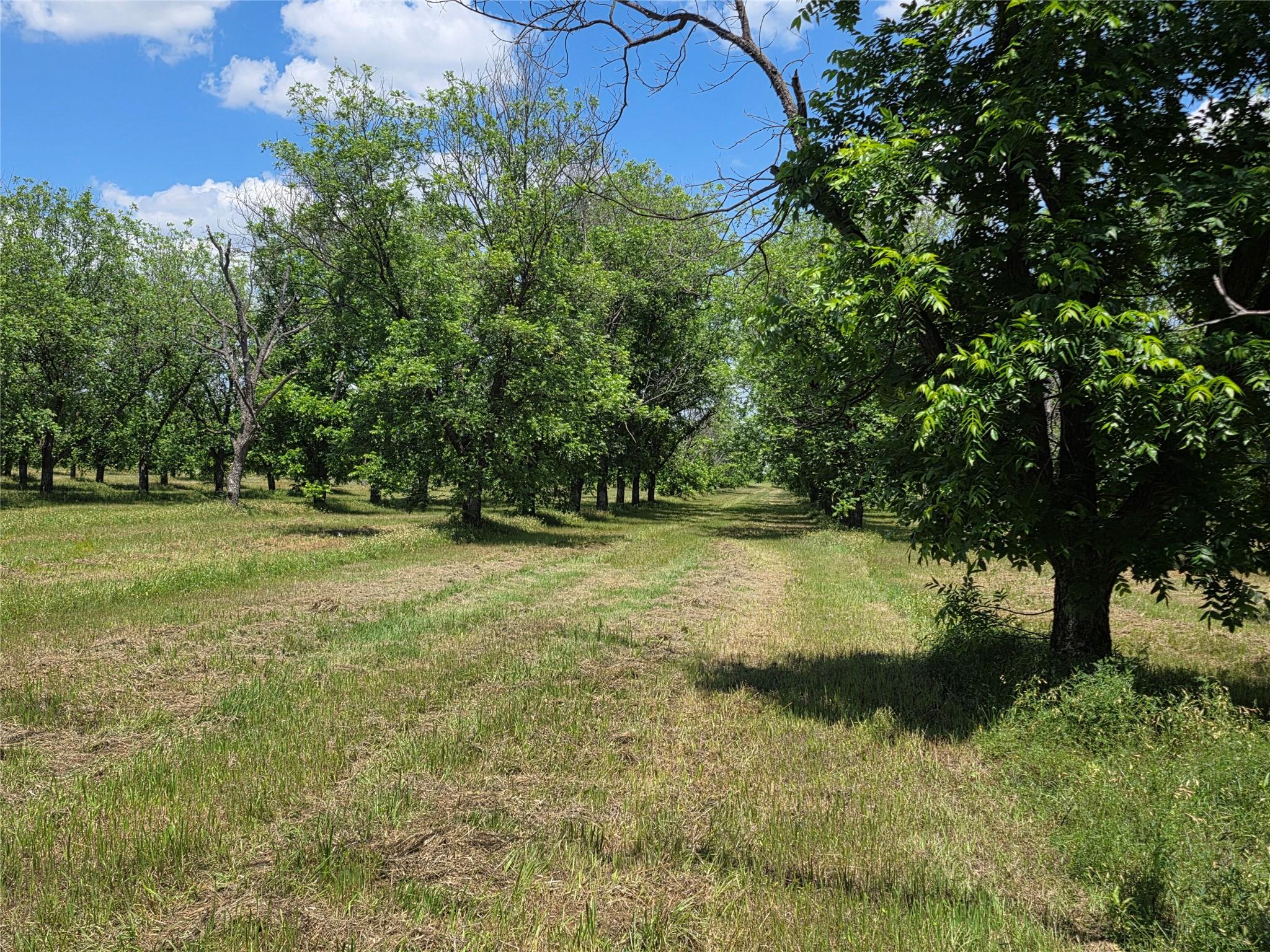 main property photo 23