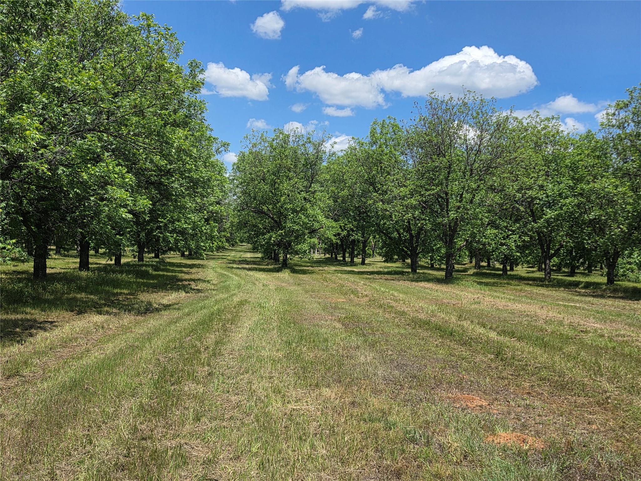 main property photo 26