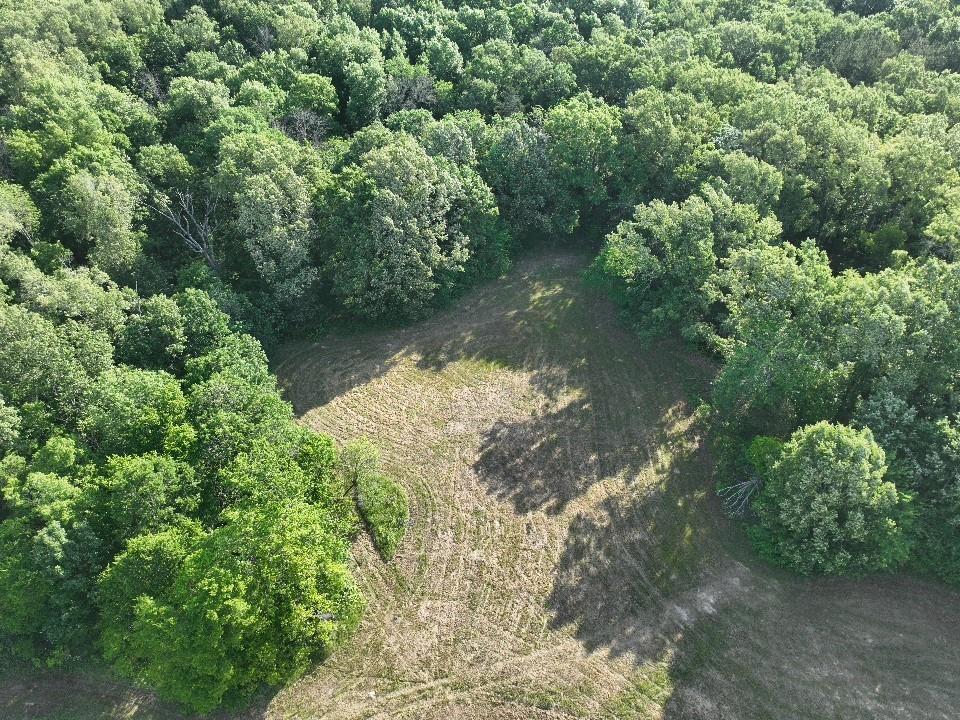 main property photo 12