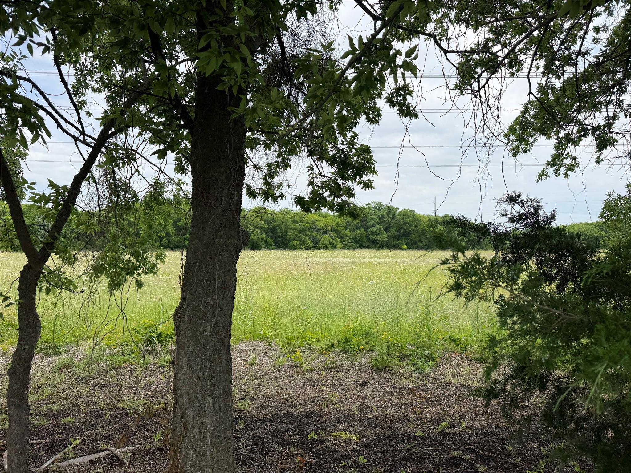 main property photo 10