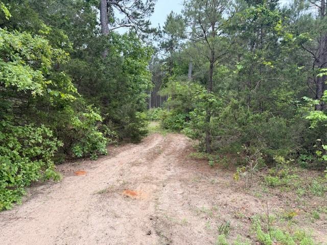 main property photo 24