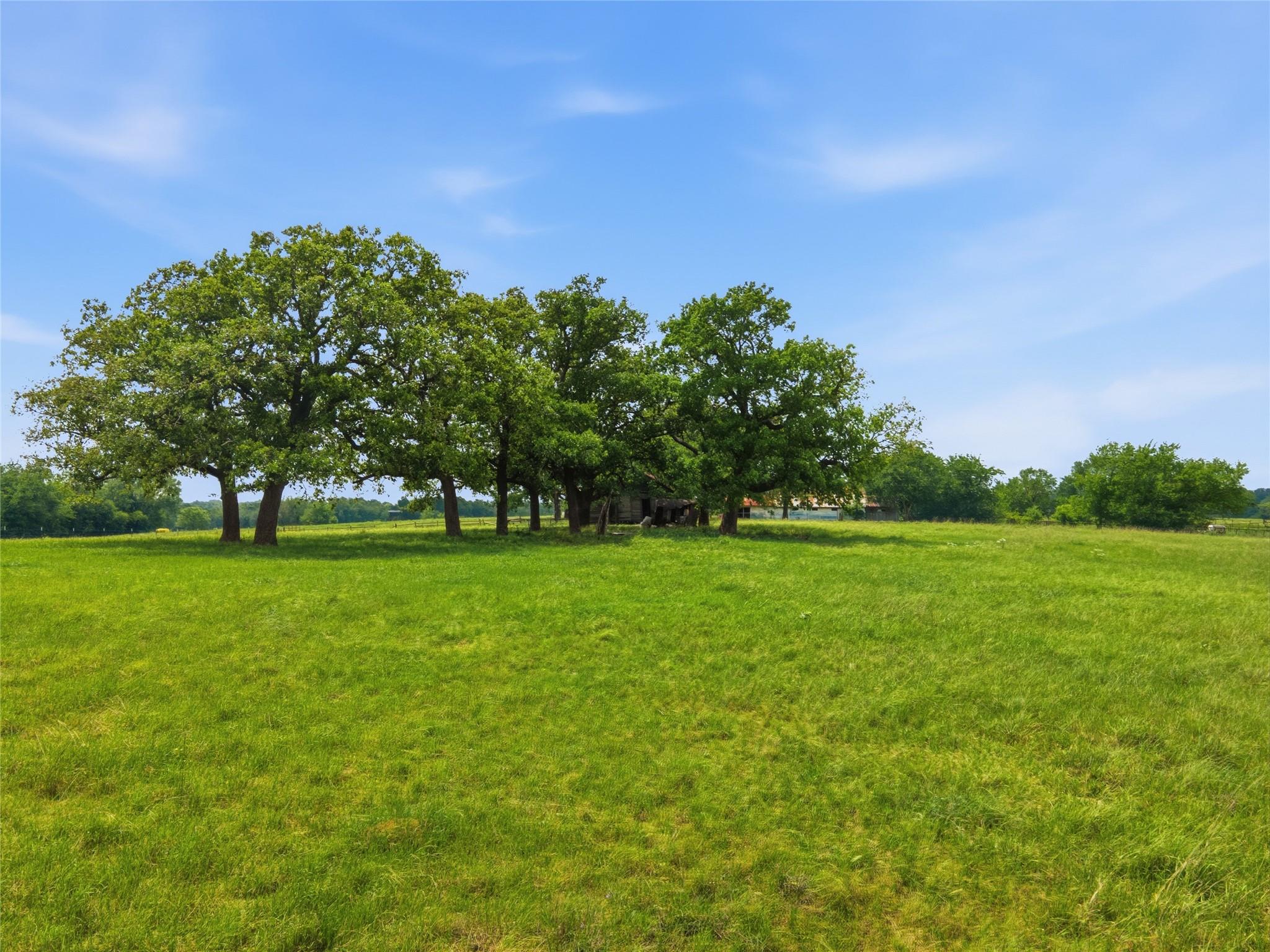 main property photo 11