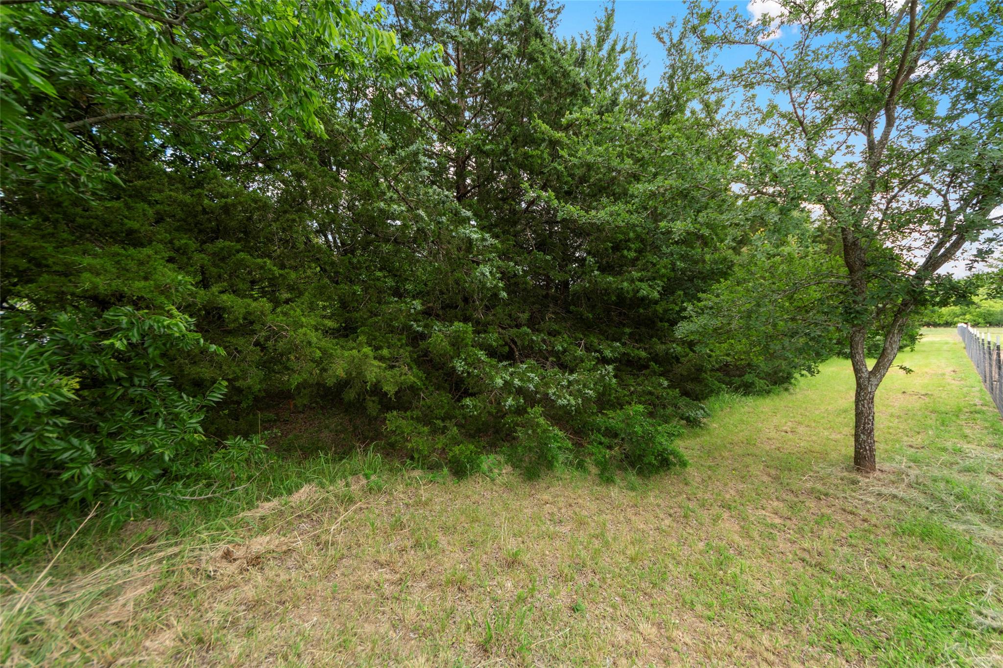 main property photo 23