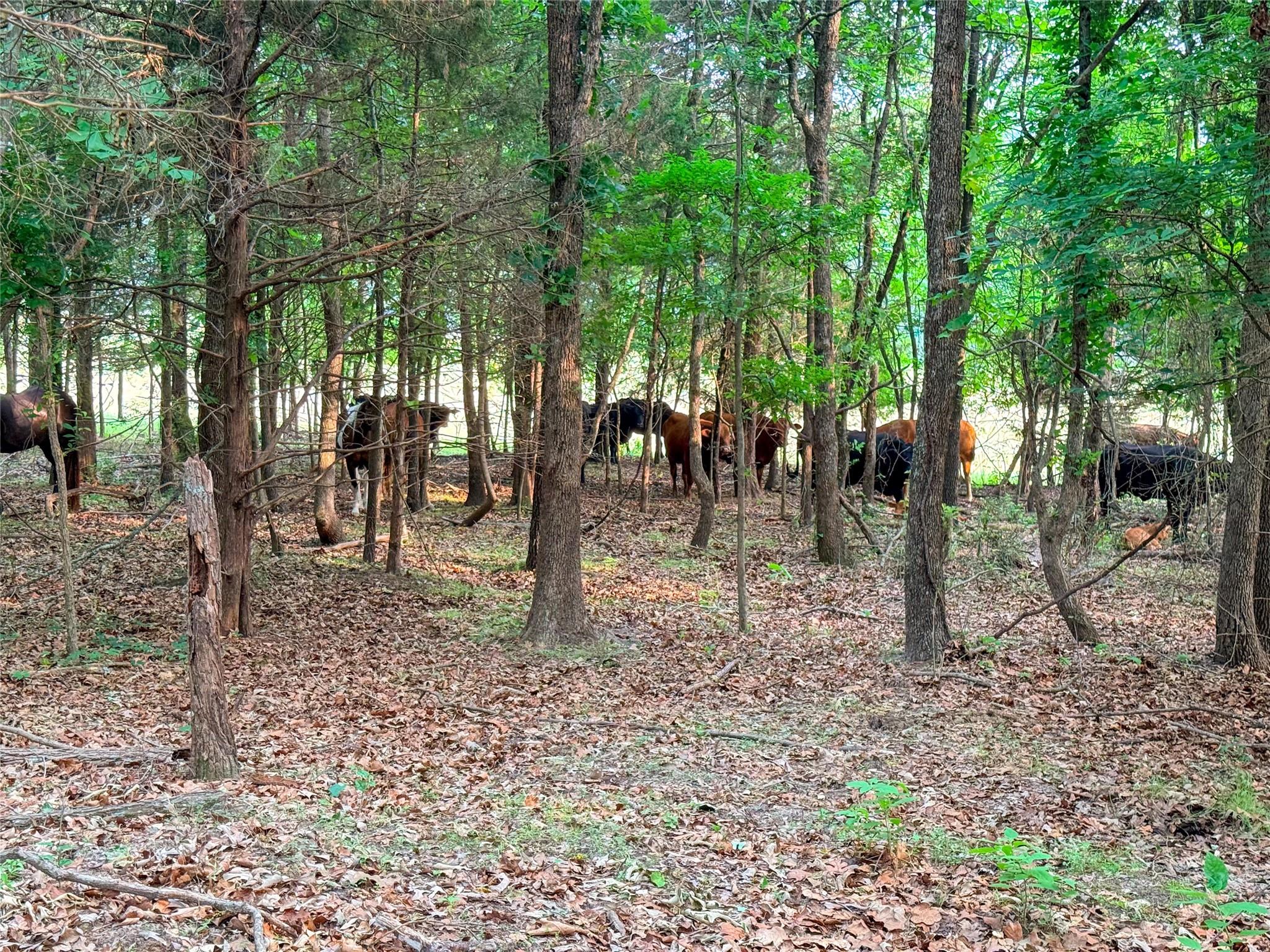 main property photo 27